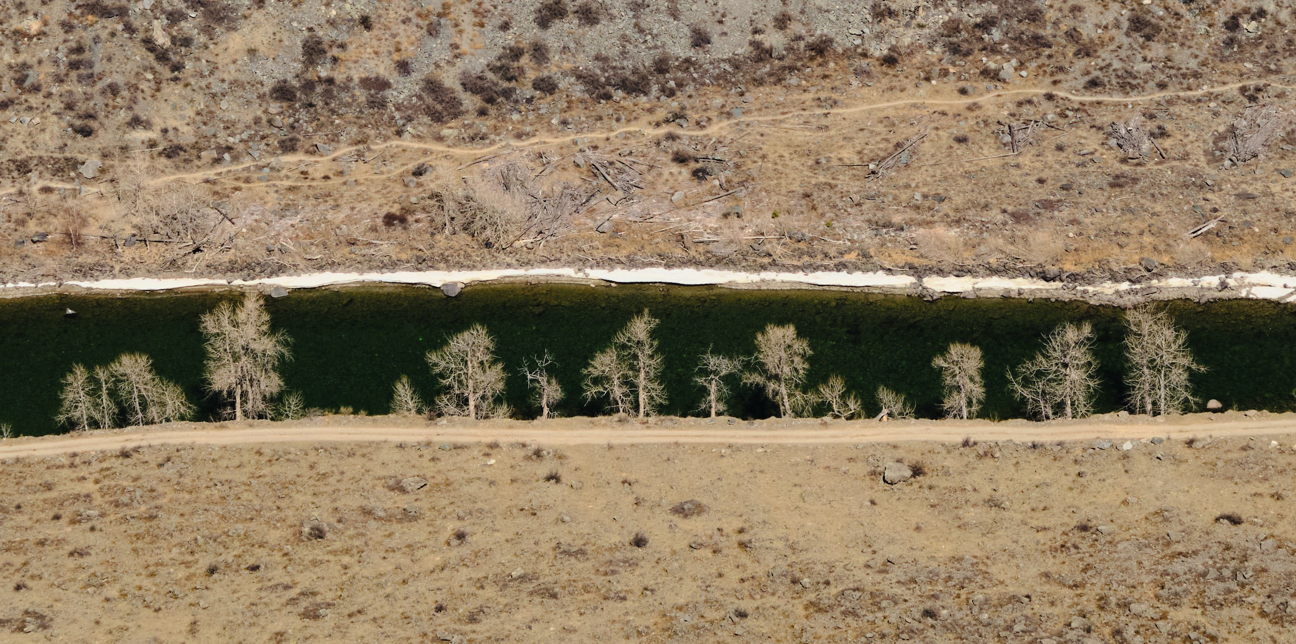 Алтай в ожидании лета. Shaltay Gallery