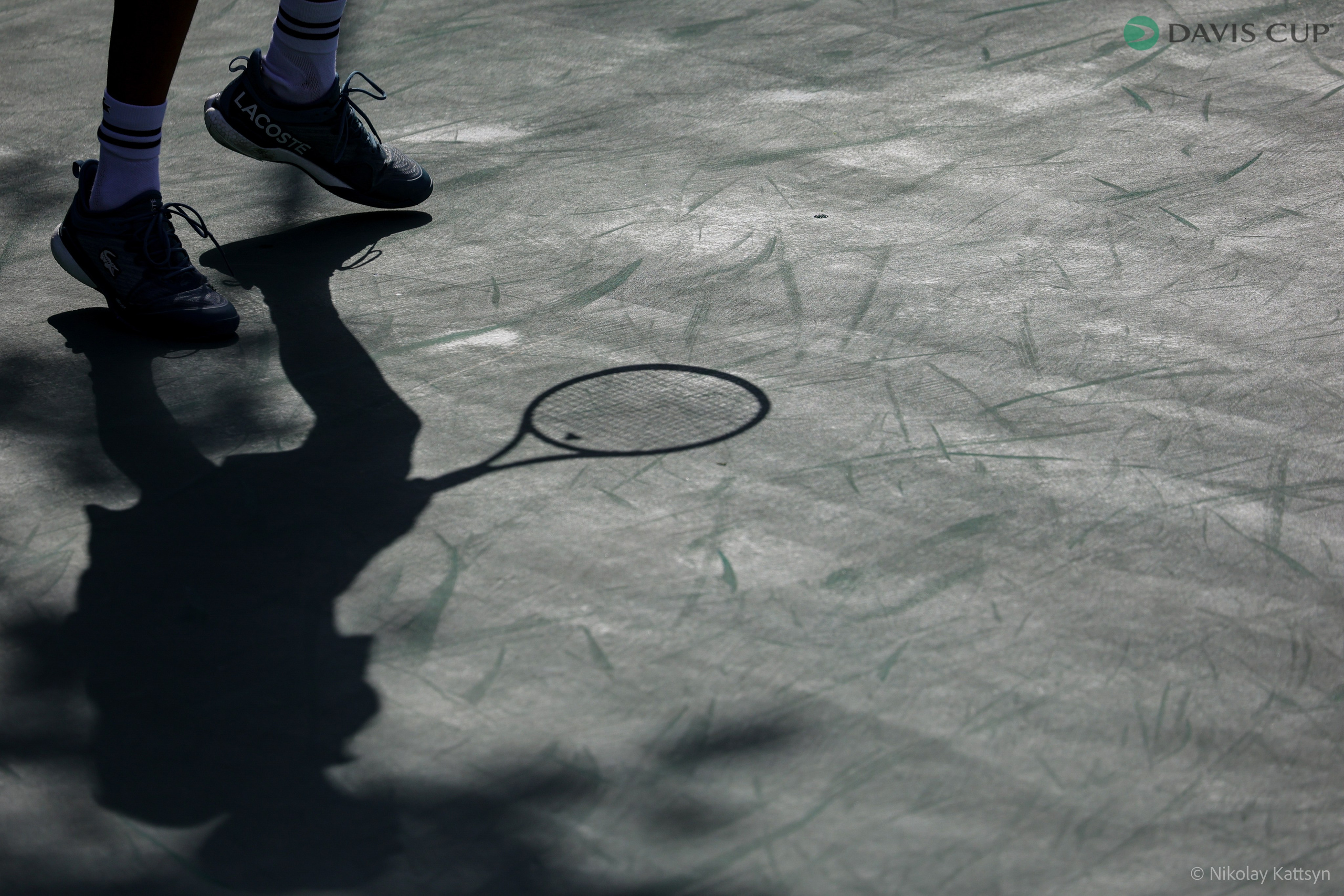 Теннис_ кубок Дэвиса 2024. Фотограф в Москве портреты | репортажи | спорт