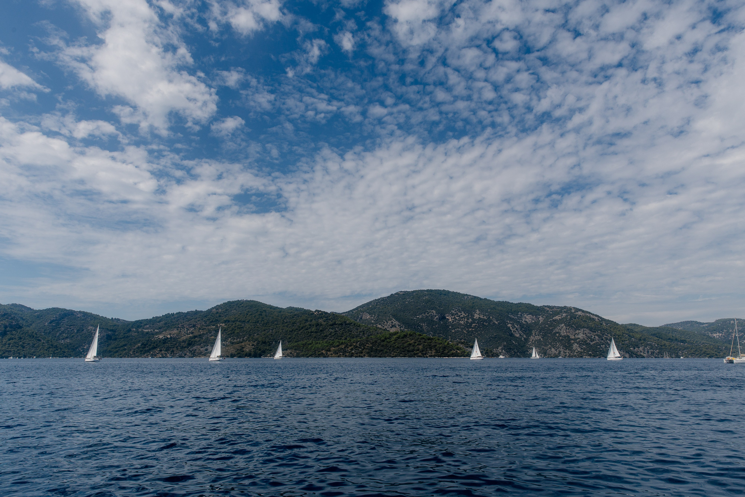 Фармрегата. Свадебный фотограф Москва Анна Шилова