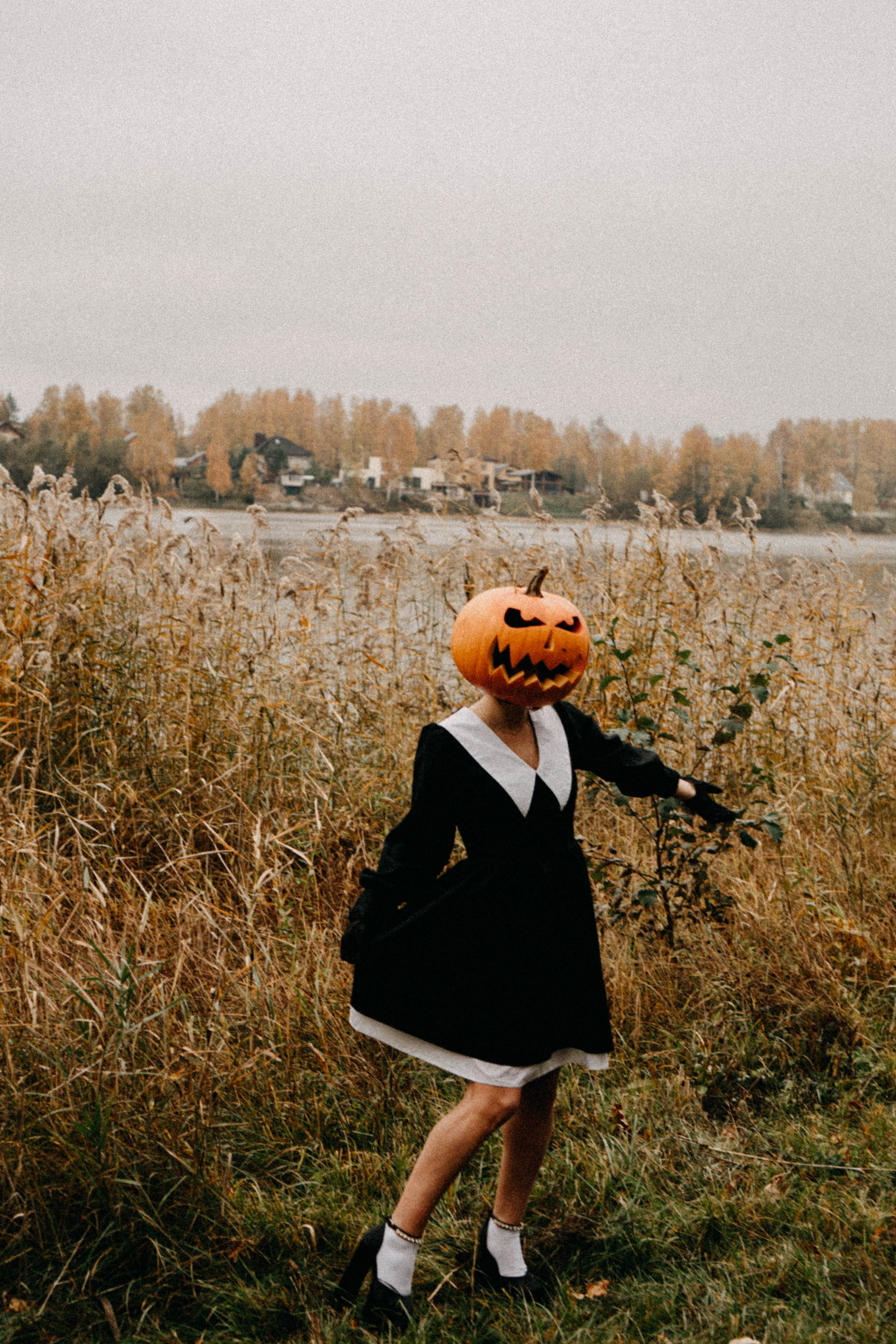 Осеняя. Профессиональный фотограф, Санкт-Петербург — Виктория Богомолова