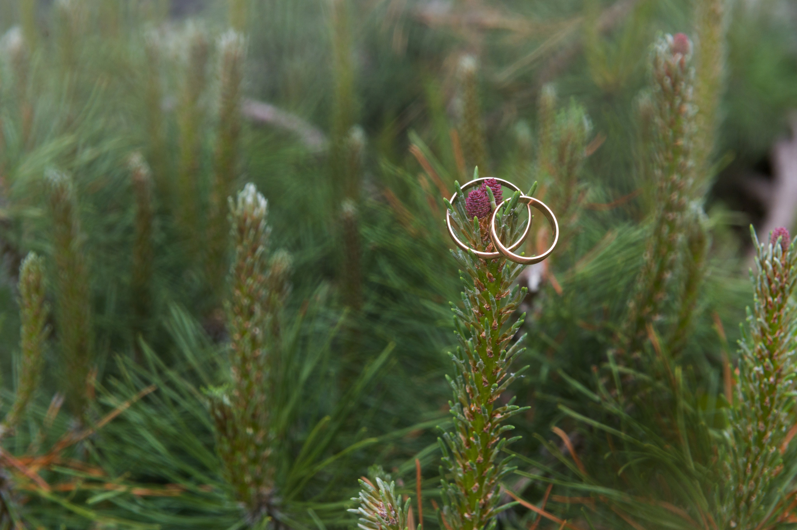 Марк и Юлия. Фотограф Зырянова Яна, Снежинск, Екатеринбург, Челябинск