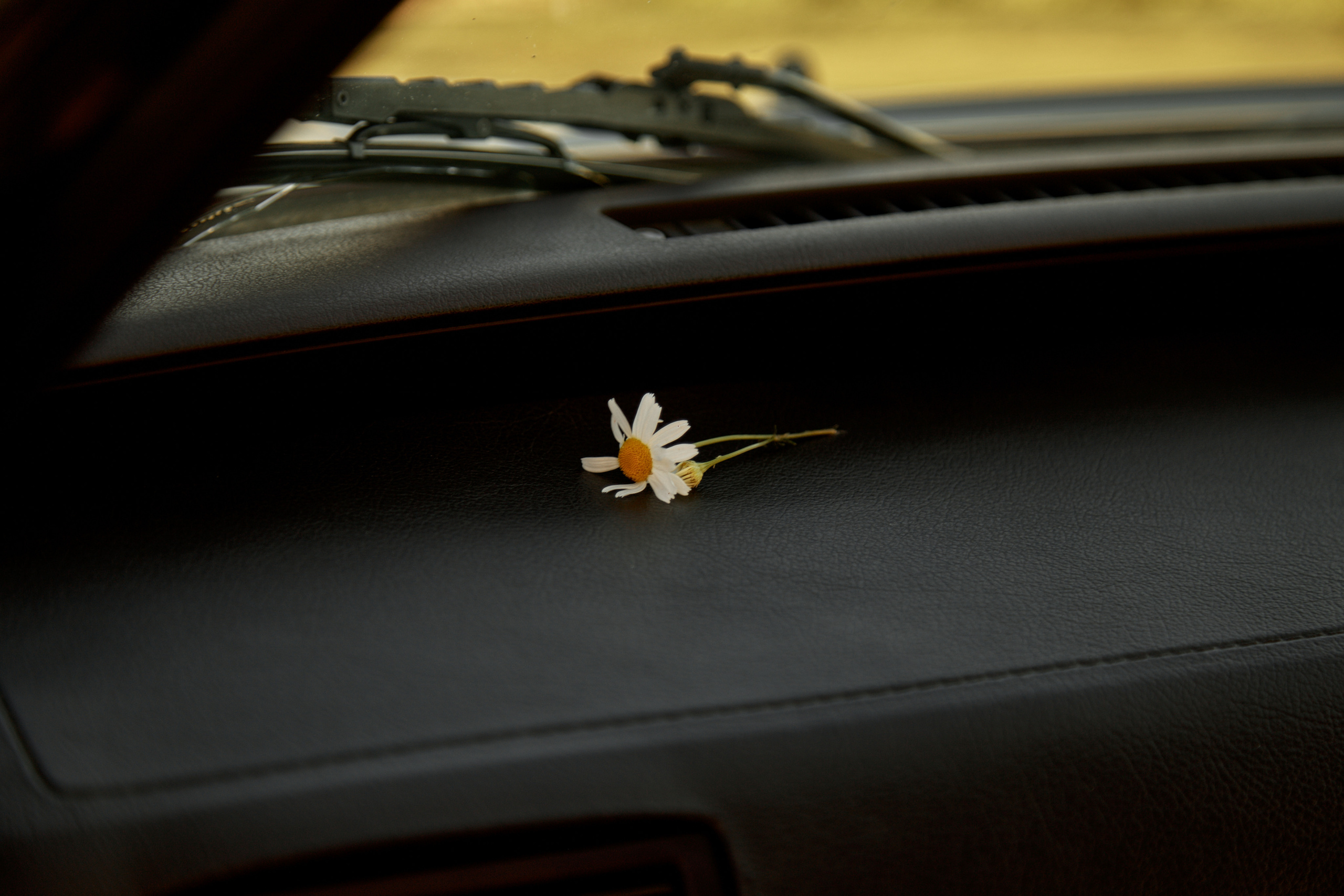 Руслан и Вероника — Love-story с фактурной тачкой. Фотограф Челябинск — Кирилл Устюжанин