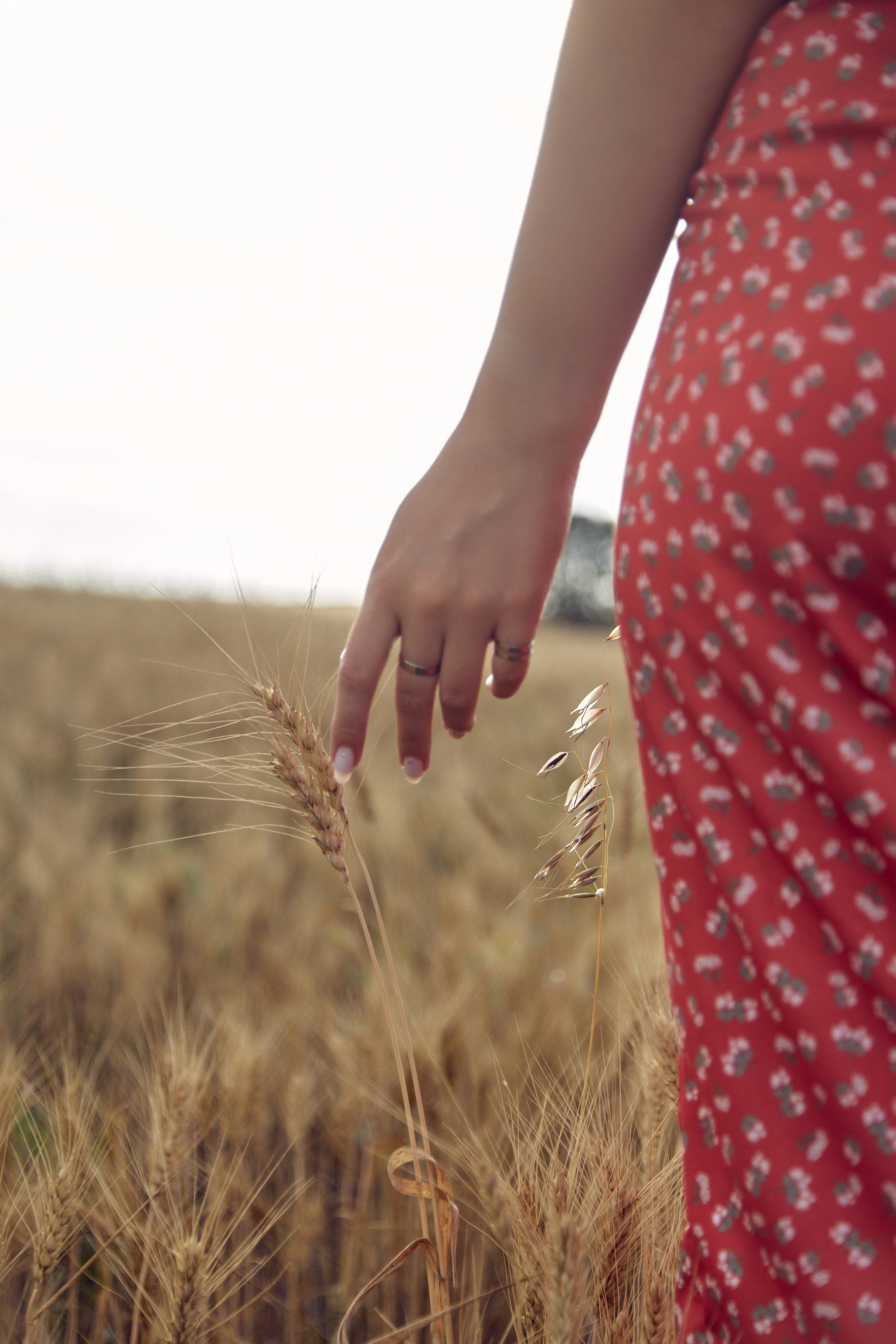 Анастасия — портреты в поле. Фотограф Челябинск — Кирилл Устюжанин