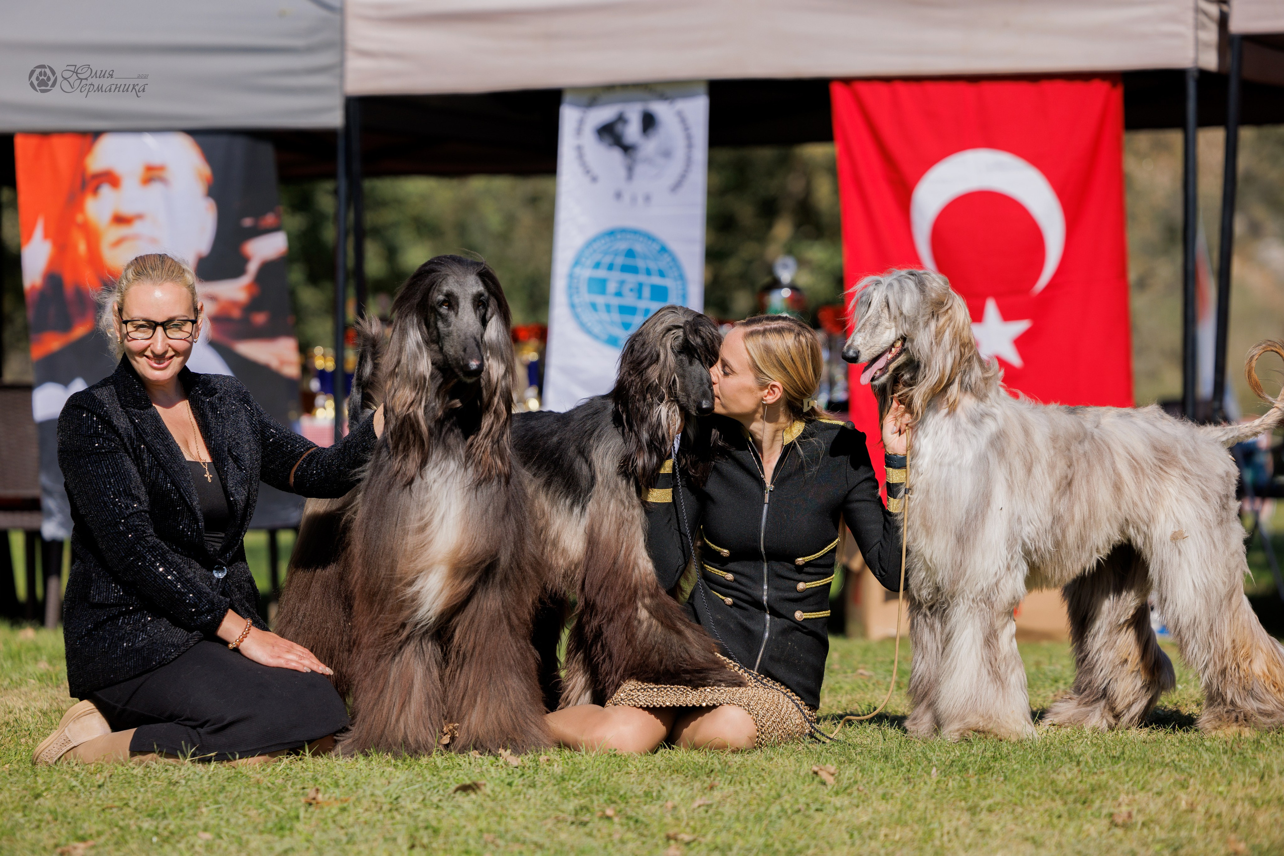 Туция,Стамбул 2хCACIB 26-27.10.24. Фотограф-анималист Юлия Германика