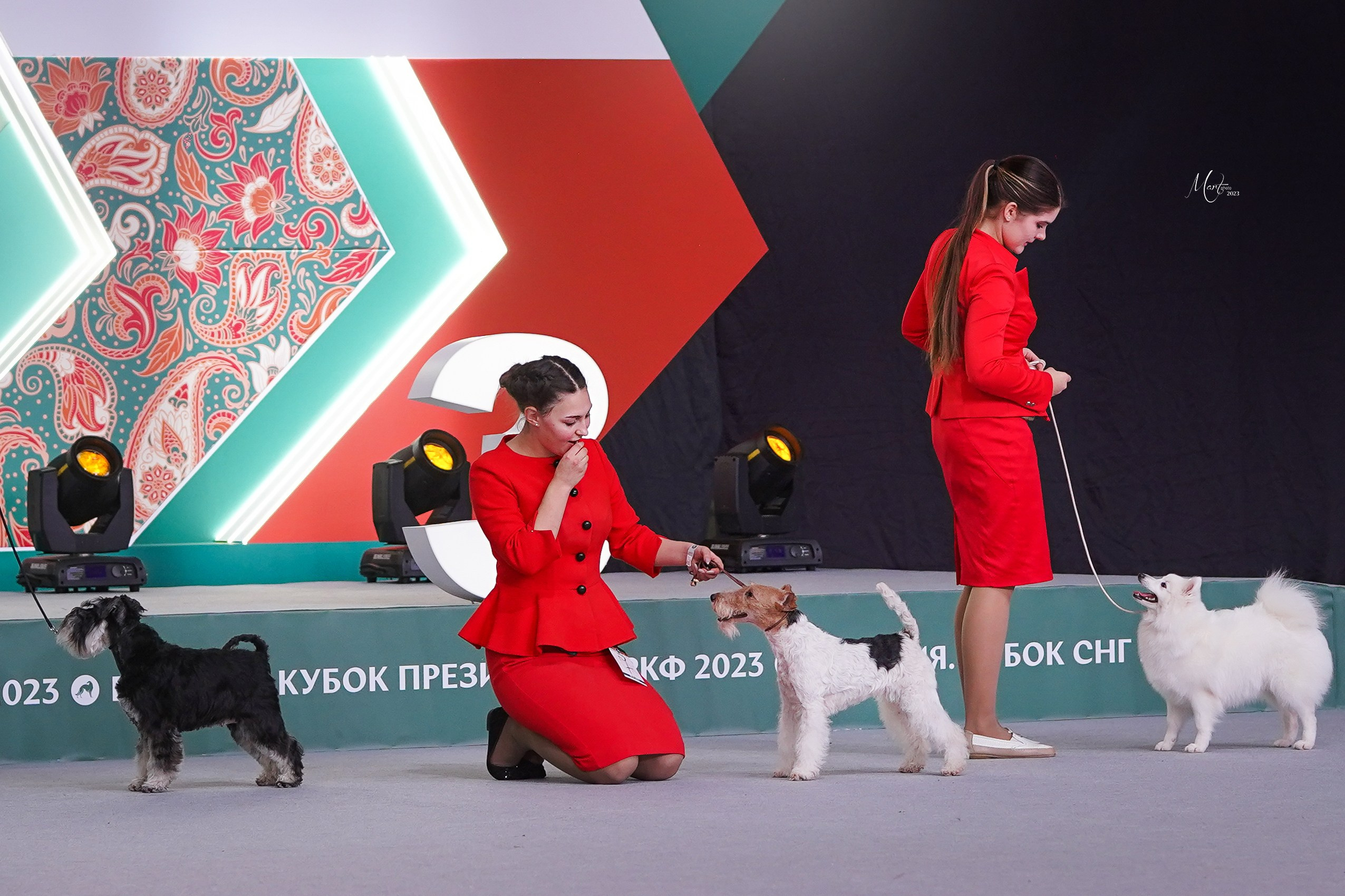 Выставки 2023. Фотограф-анималист в Санкт-Петербурге Яна Мартынова