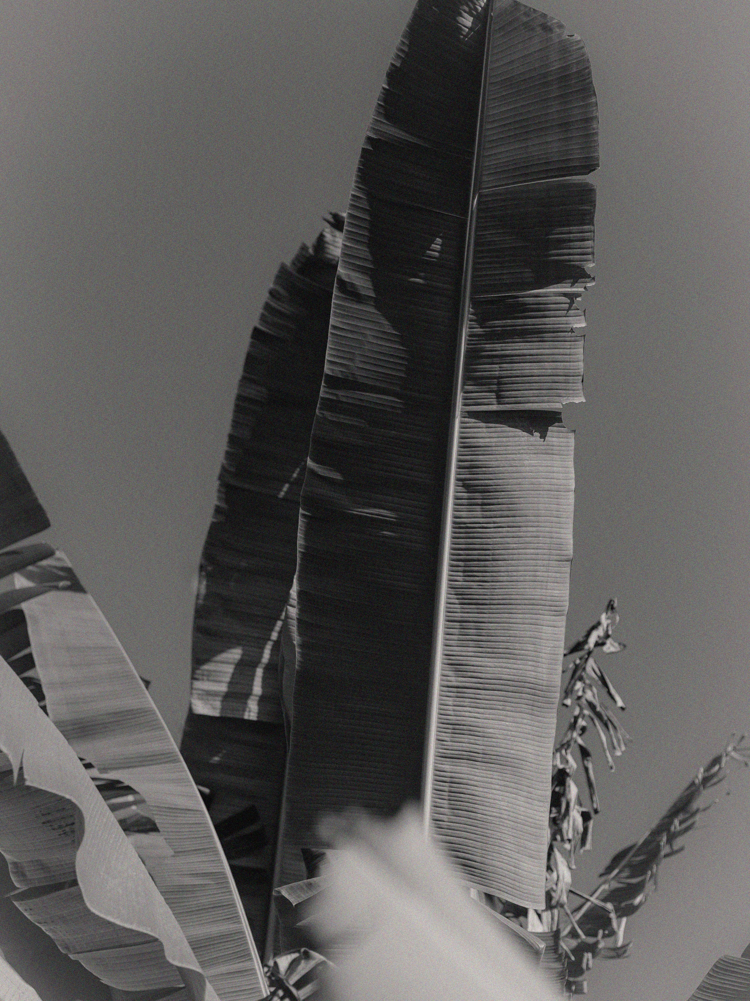 Оля и Таня. Портретный и fashion фотограф в Москве — Елена Якушина