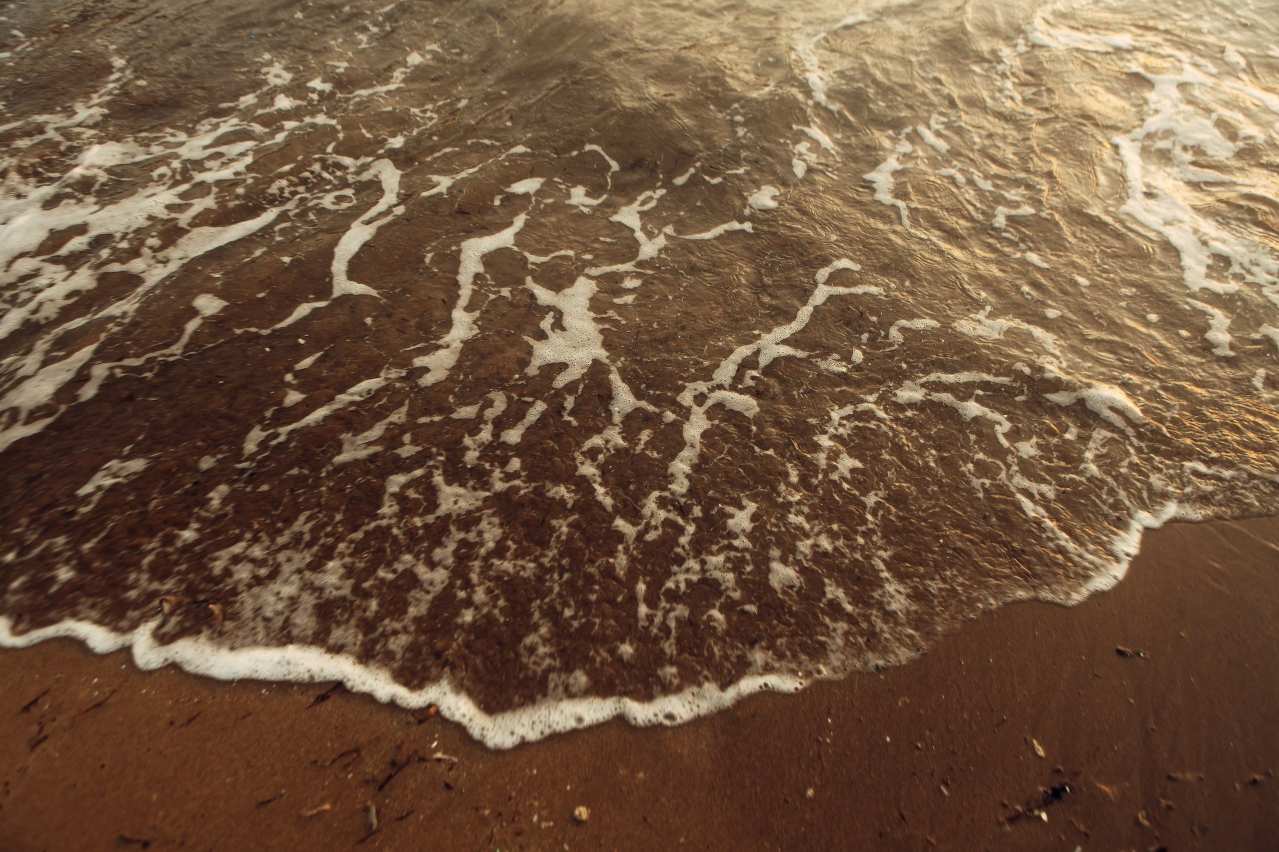 E&D. Фотограф в Батуми Павел Шарников