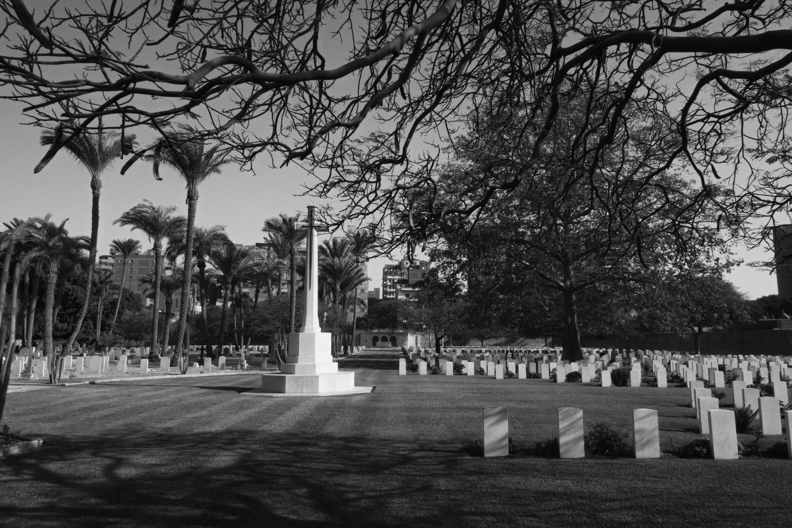 War Memorial Cemetery / Cairo, Egypt AW25. Фотограф Юрин Евгений