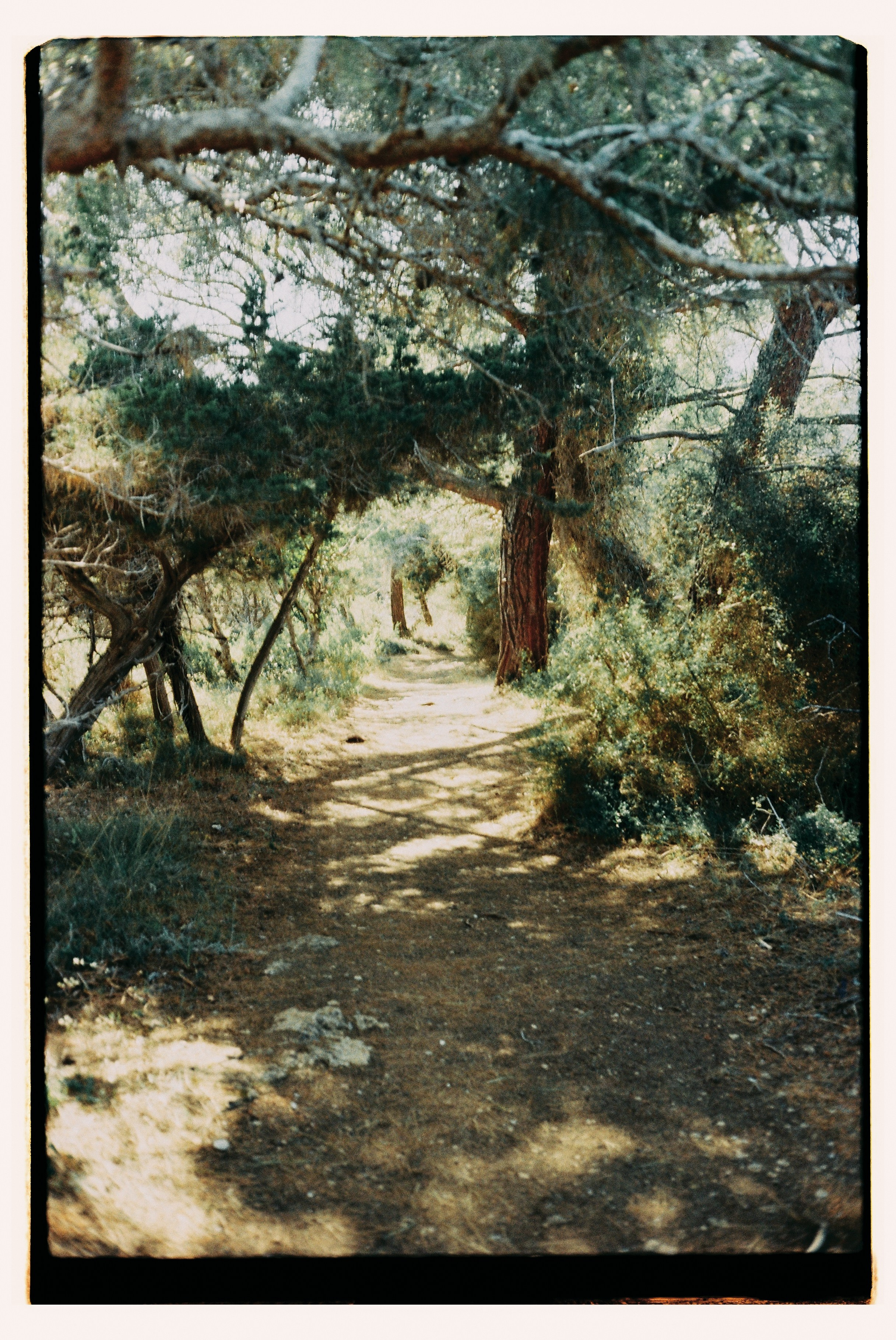 Mediterraneo. Фотограф Анастасия Губернаторова