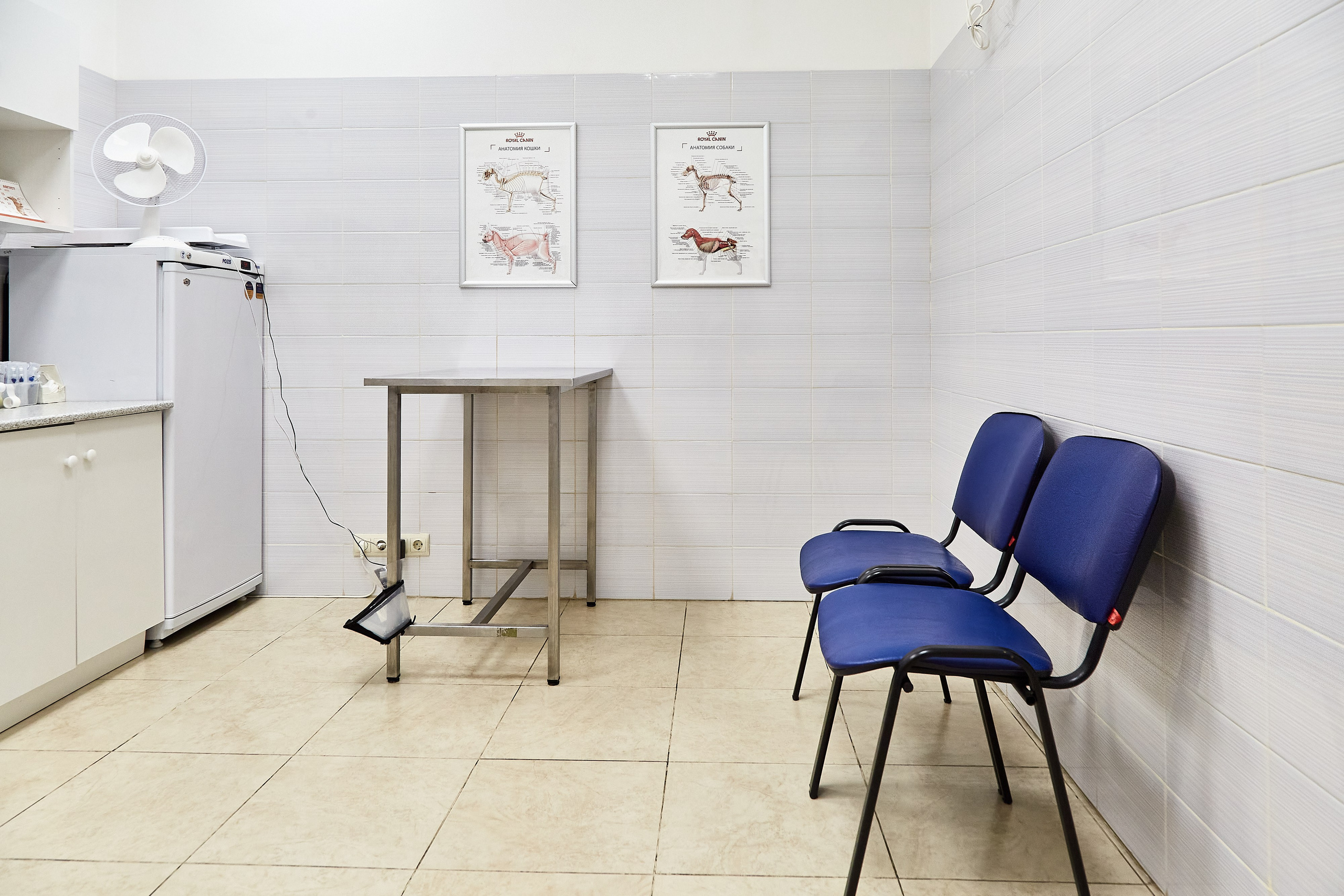 Ветеринарная клиника Косточка на Дальневосточном пр. Фотограф Анастасия Леонтьева Санкт-Петербург