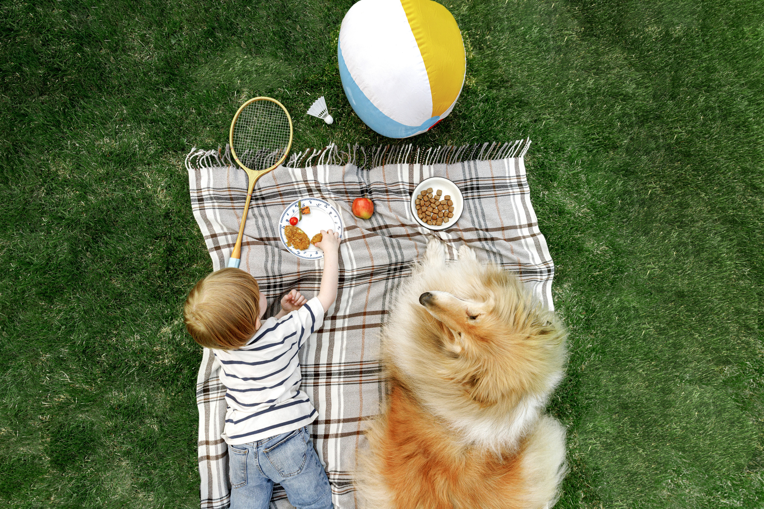 «Птицефабрика северная» (Санкт-Петербург)