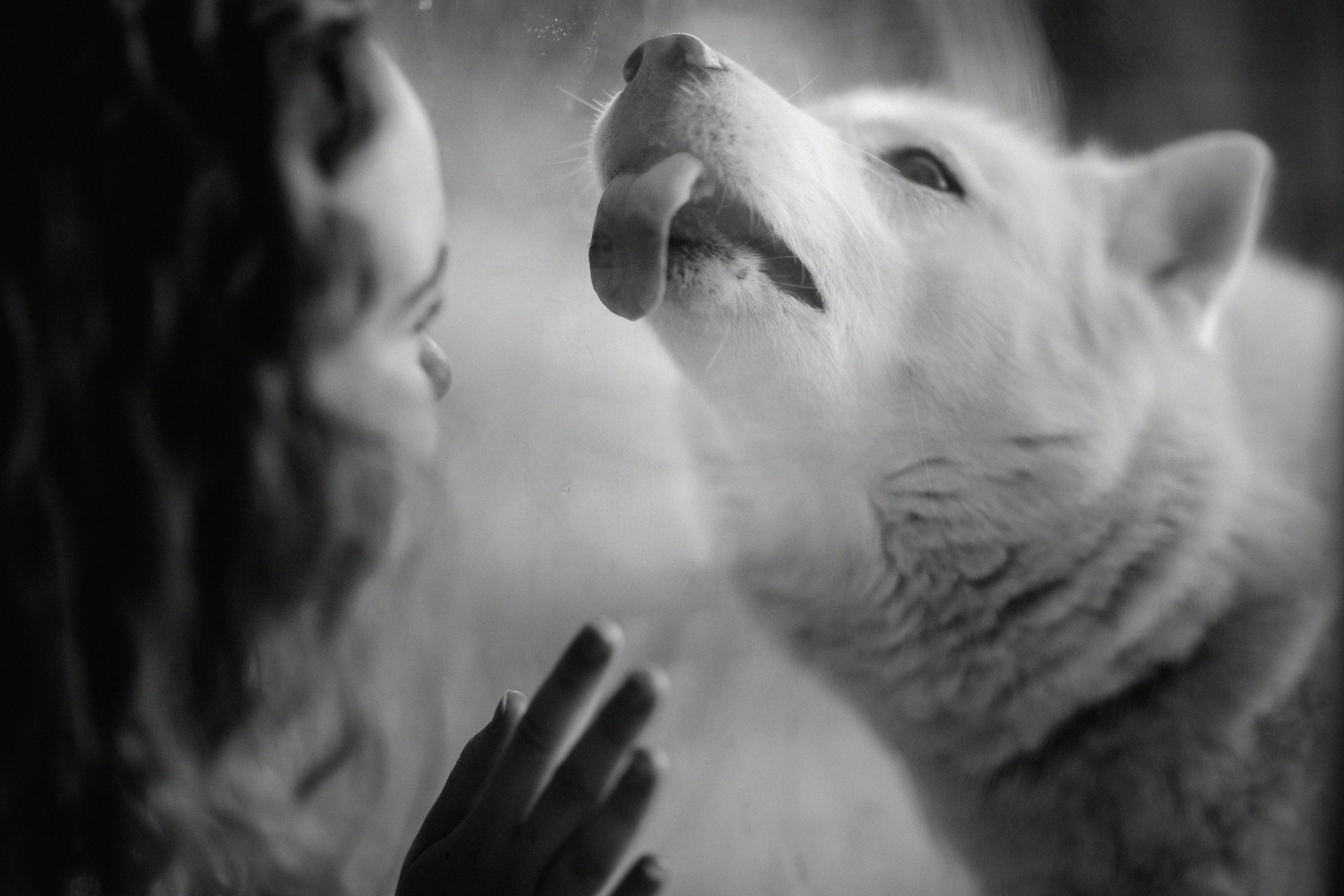 Домашний лайфстал. Фотограф материнства и таинства кормления Екатерина Кузьмин