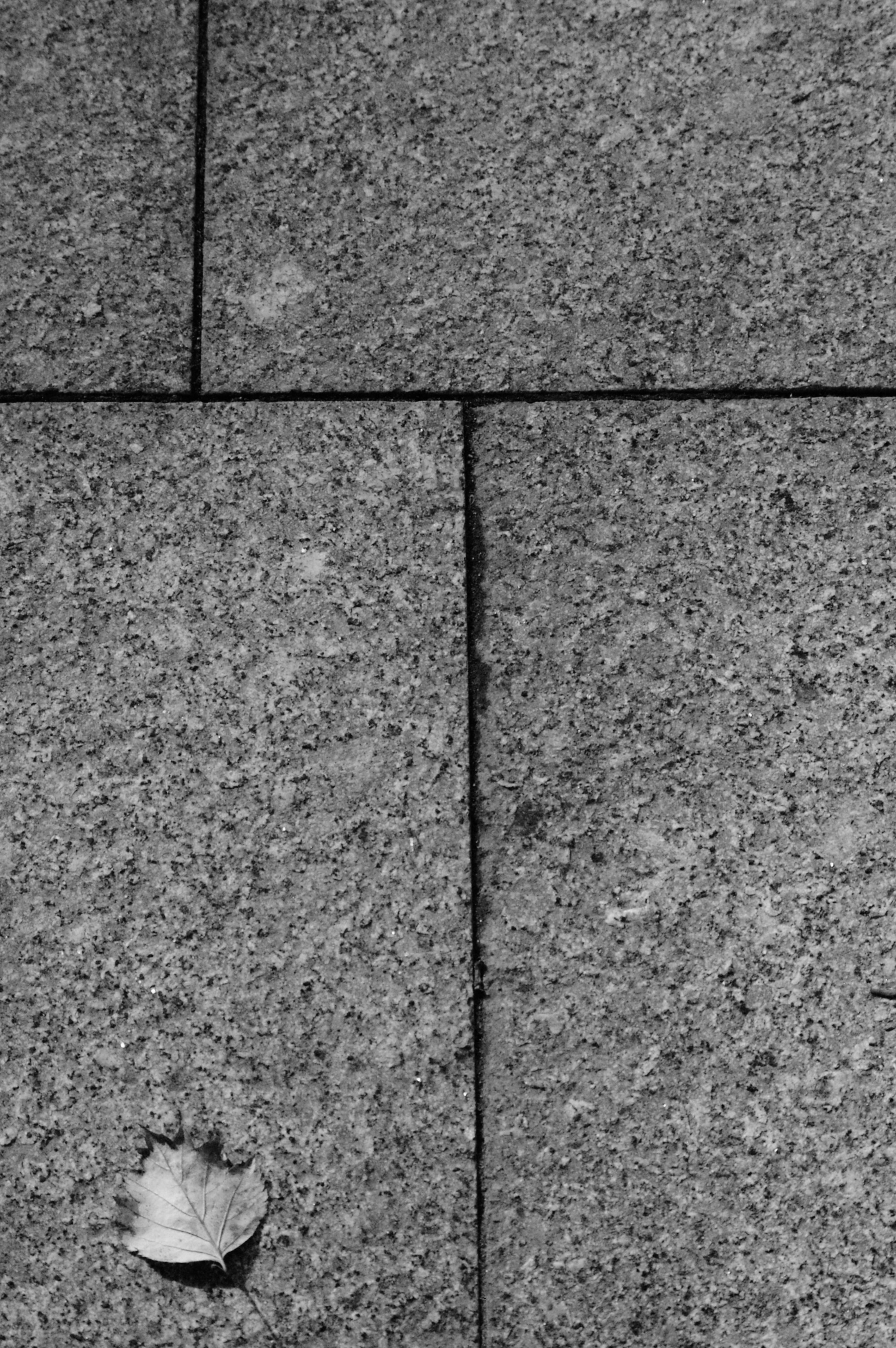 Moments. Juliarubis.com