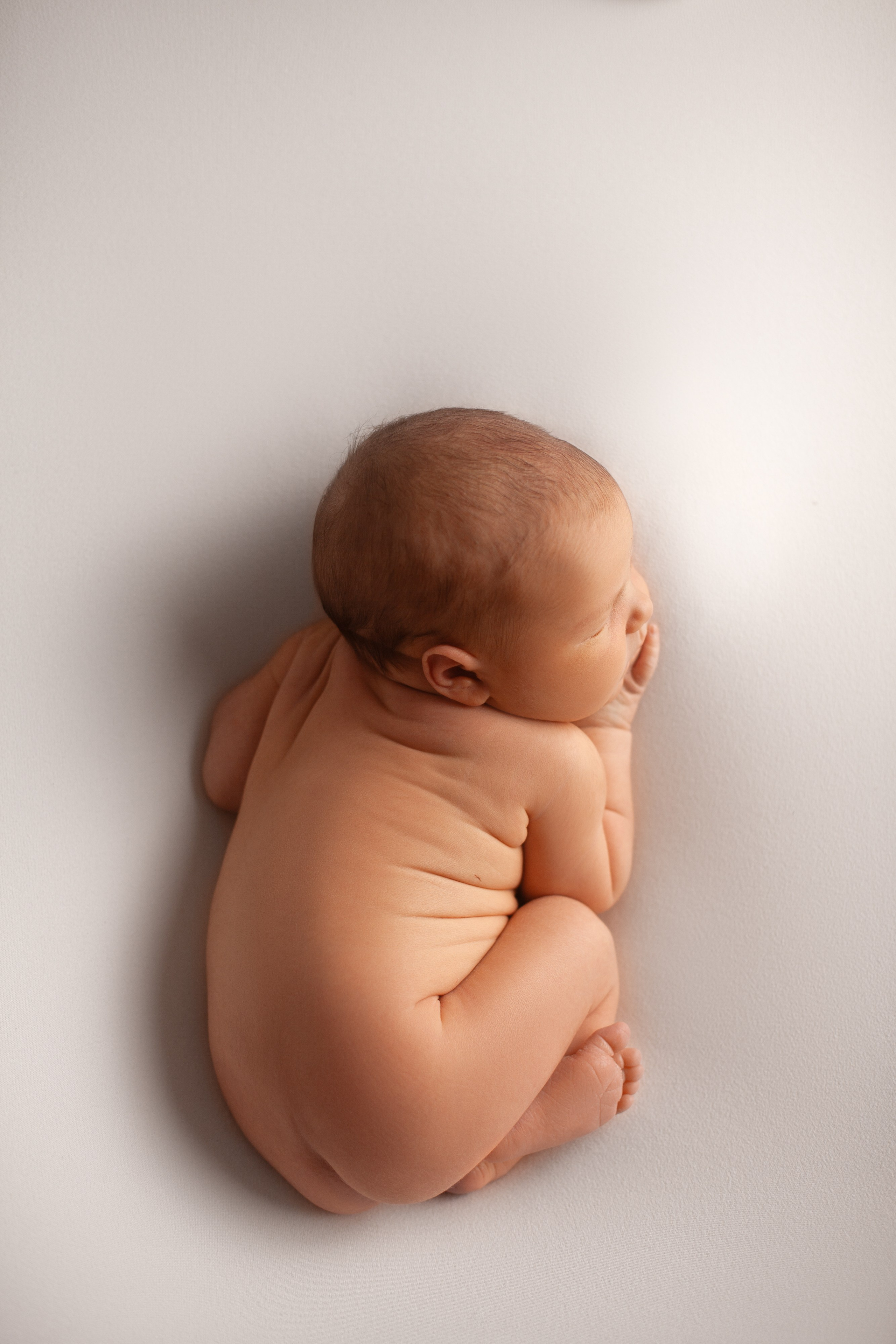 Новорожденные. Фотограф новорожденных в Москве и области Анастасия Холманская