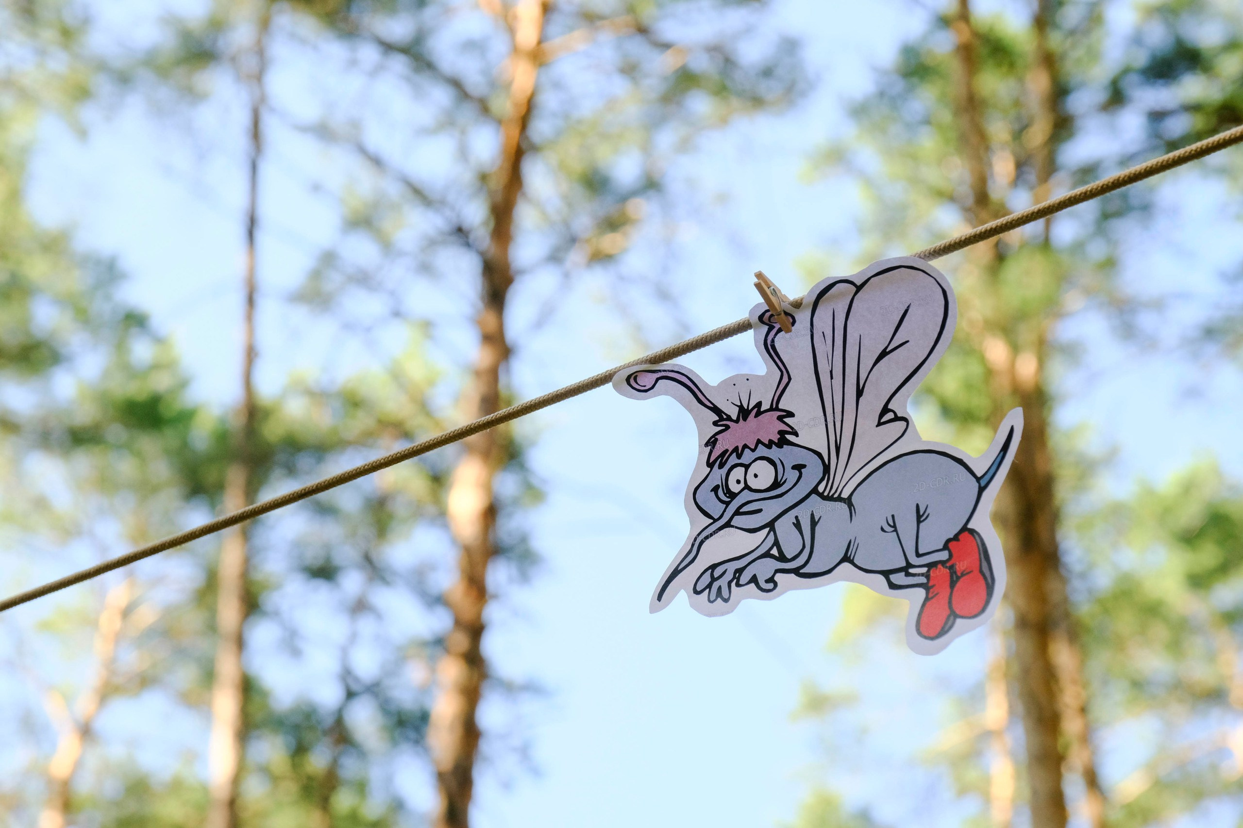 Корпоративный турпоход 500 чел. Территория M.I.C.E. Территория EVENT. Организация мероприятий