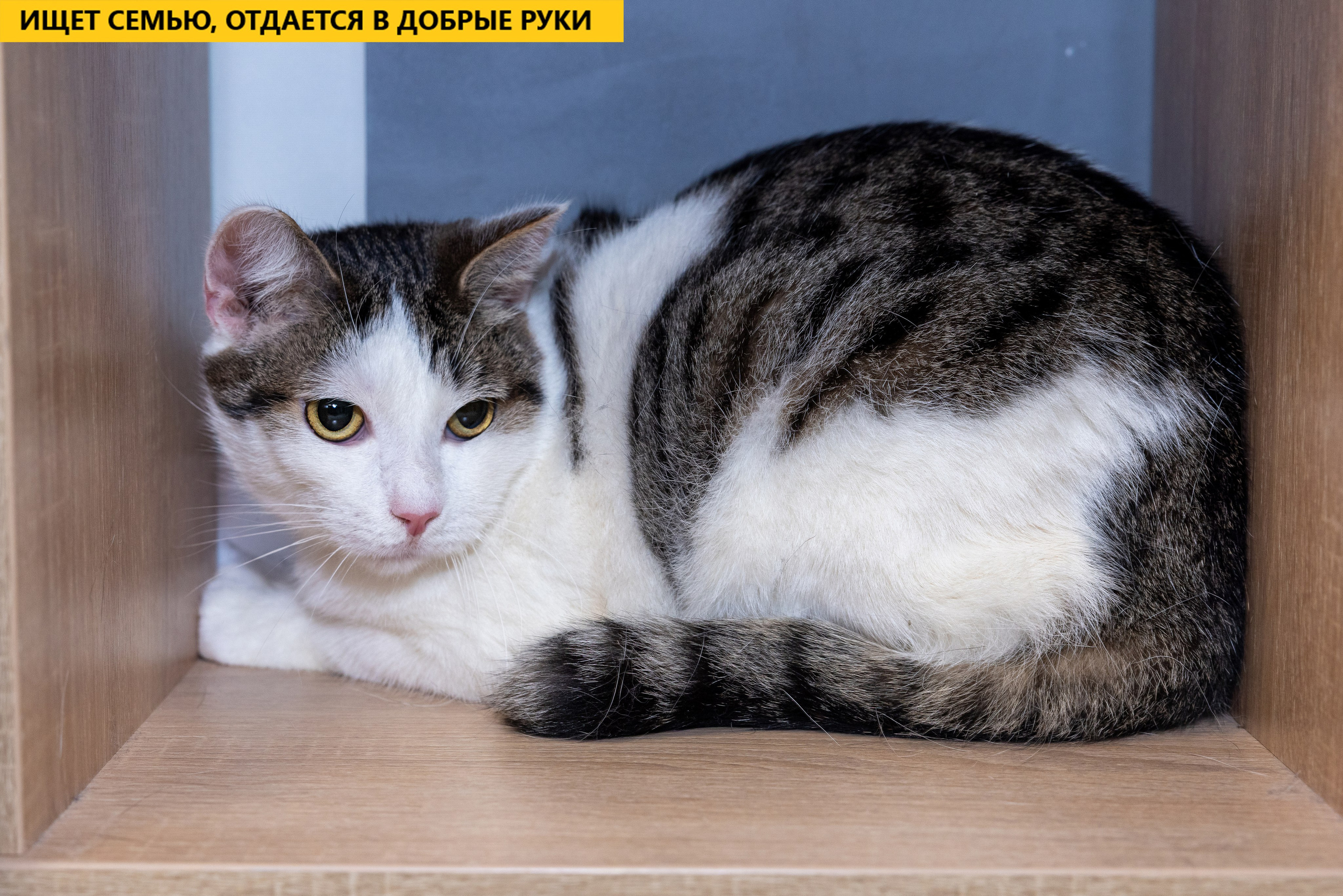 Рекламная съемка в Москве. Геннадий Степанов —фотограф в Москве