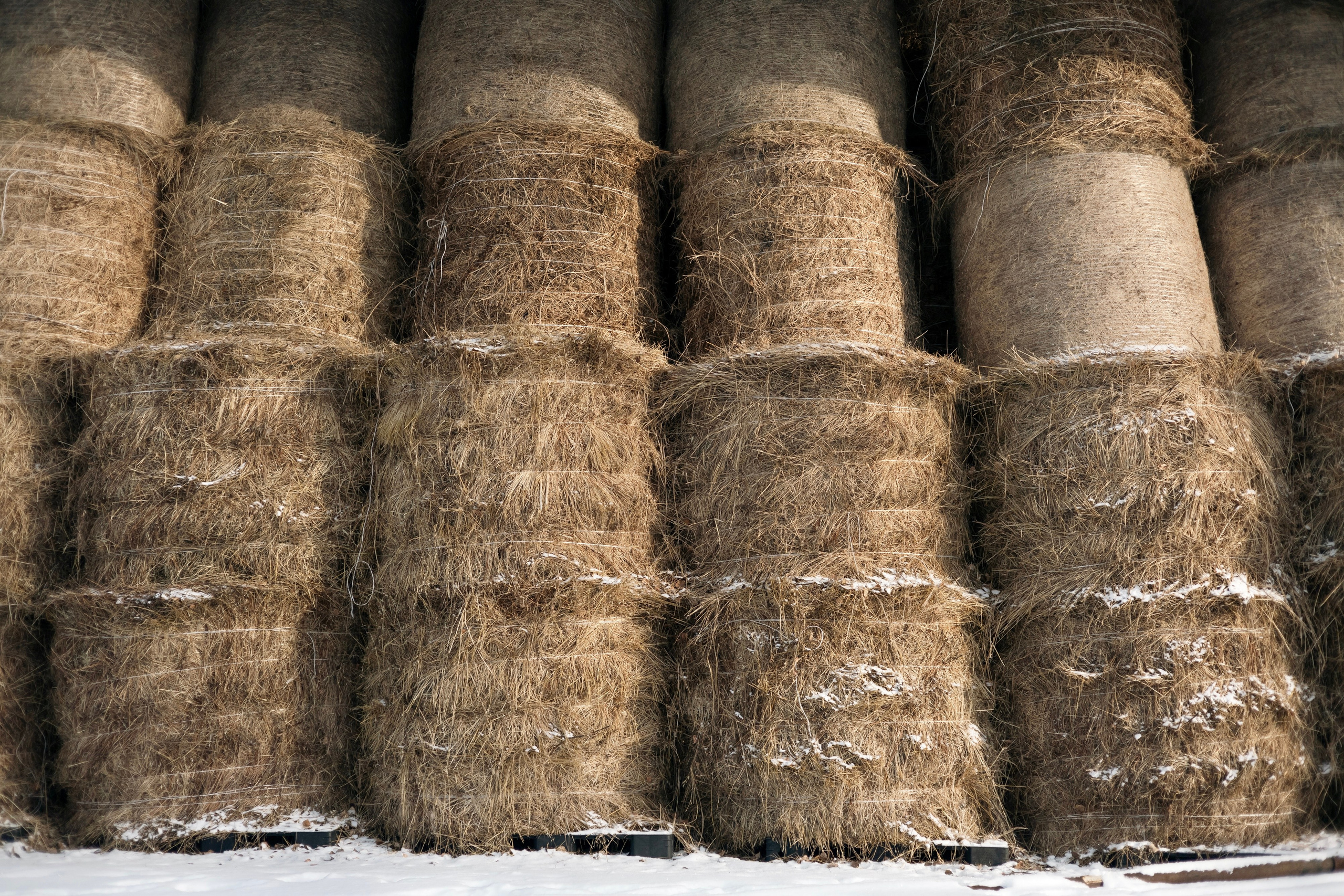 Татьяна Мустякимова. Хозяйка пони-фермы. Репортажный фотограф Наталья Лапцевич