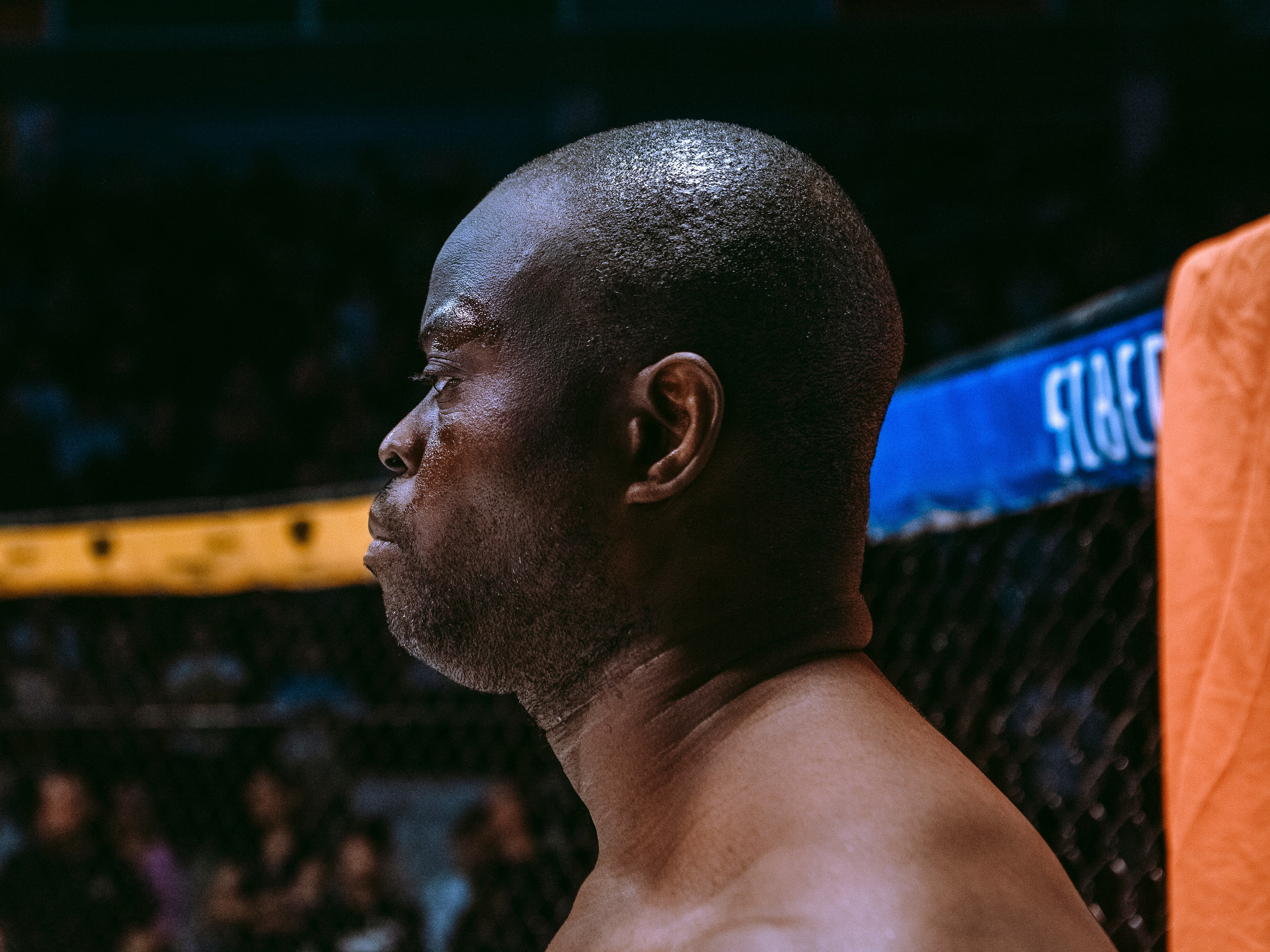 SFL 17 | Siberian Fighting League. Портретный фотограф в Москве Дарья Цезария