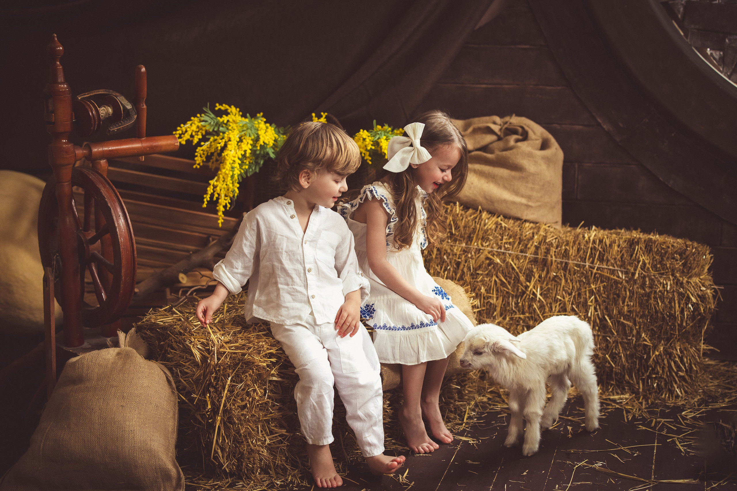 Пасхальный фотопроект с козочкой и утятами, в фотостудии «Эль» 2024 г. Семейный и детский фотограф в Краснодаре Анна Трашкова