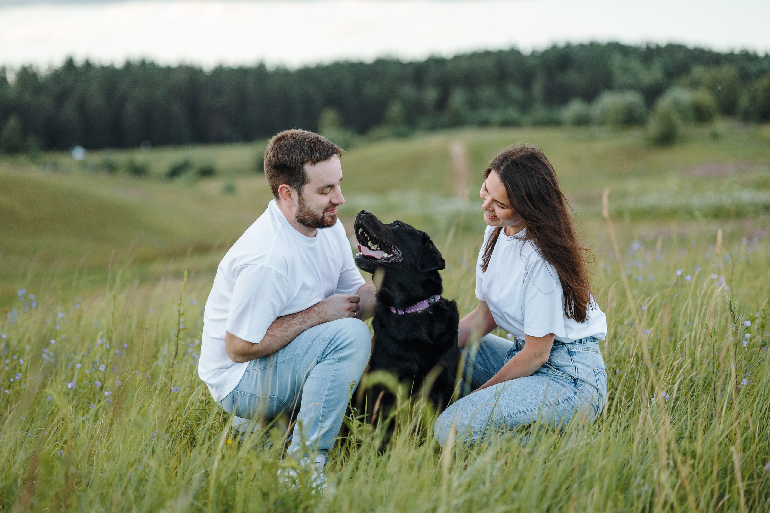 Бомбей и его семья. Фотограф — Анималист | Санкт-Петербург