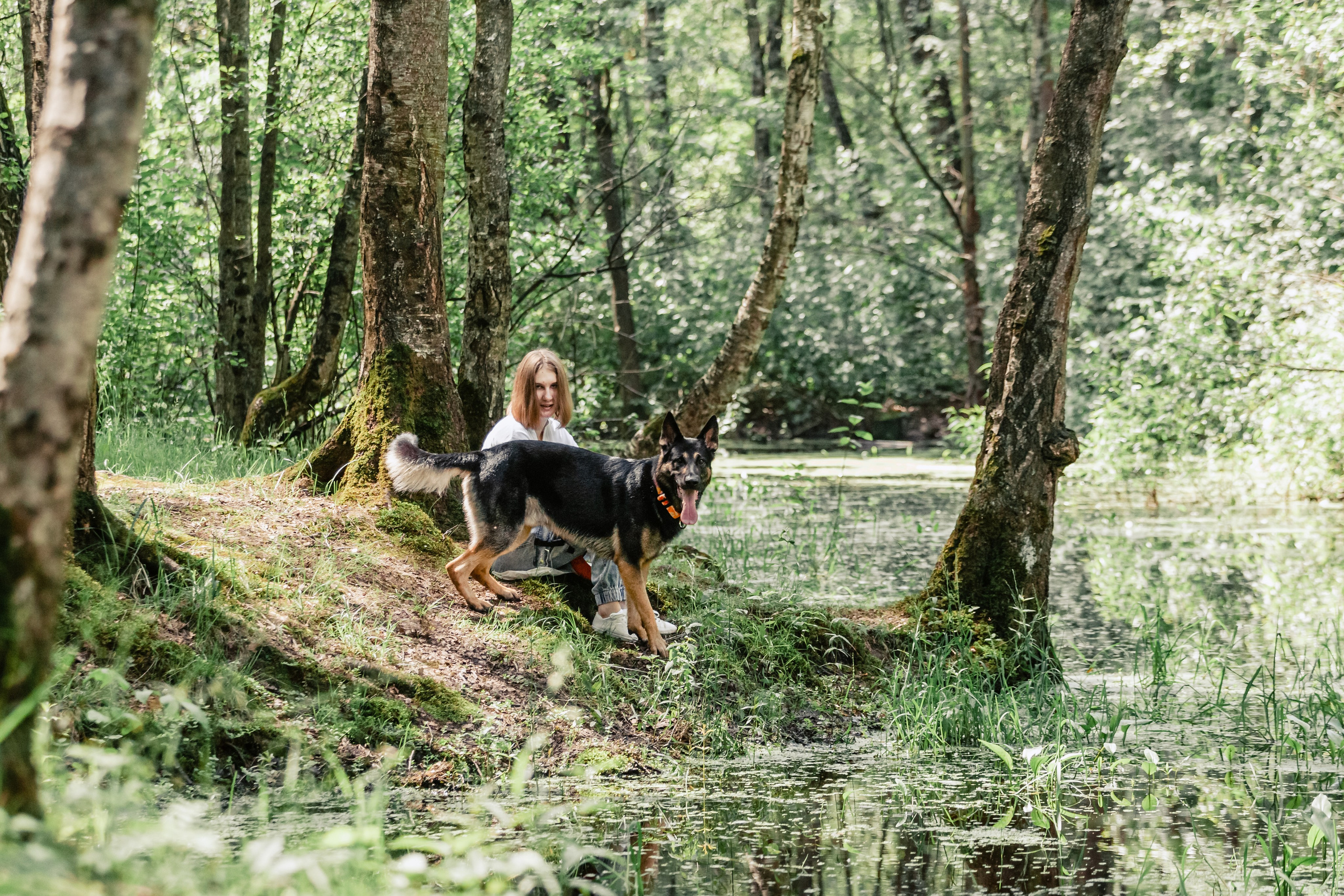 Лесная летняя фотопрогулка. Фотограф-анималист Татьяна Степанова