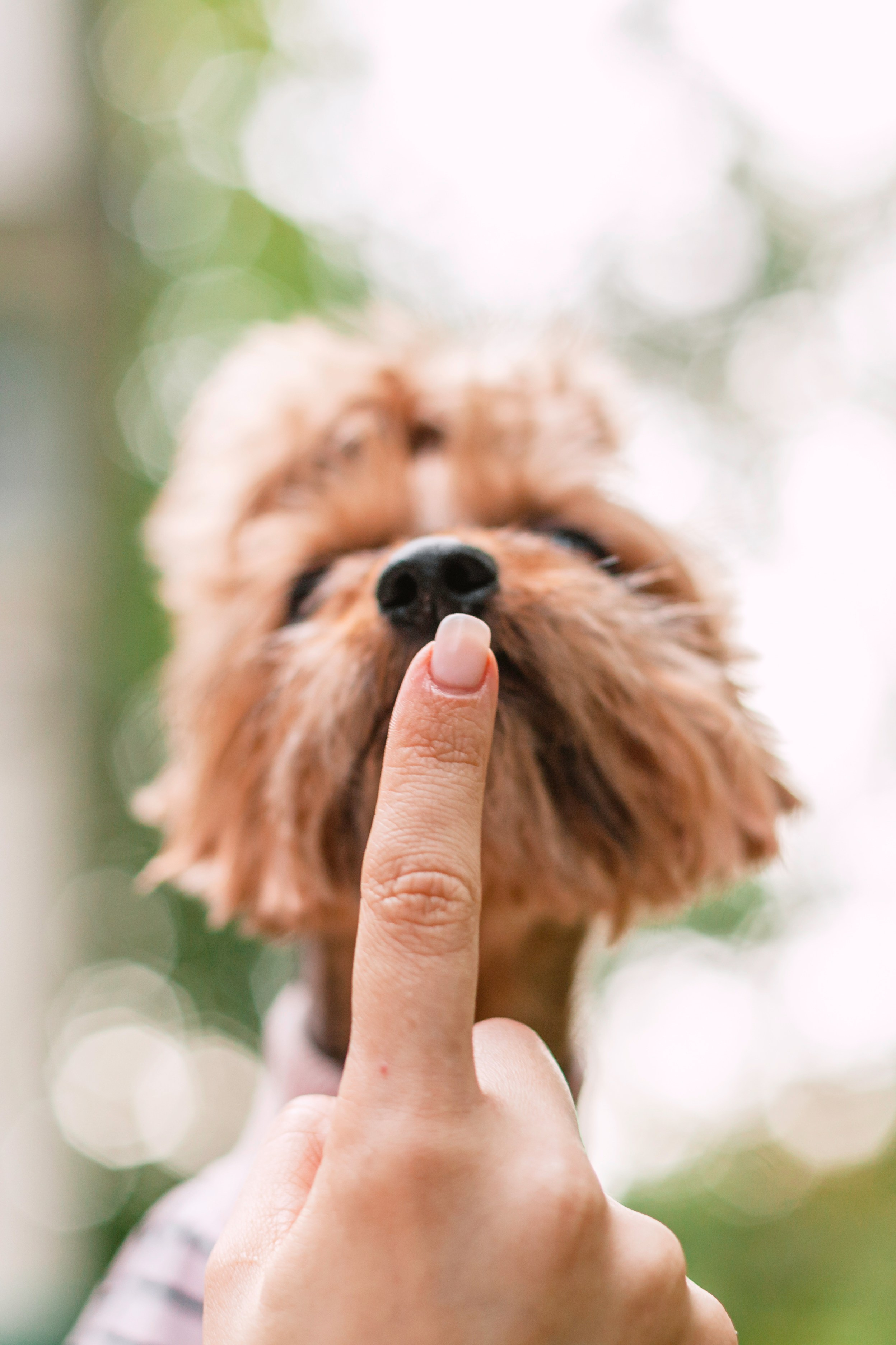 Катя и Моня. Фотограф-анималист Татьяна Степанова