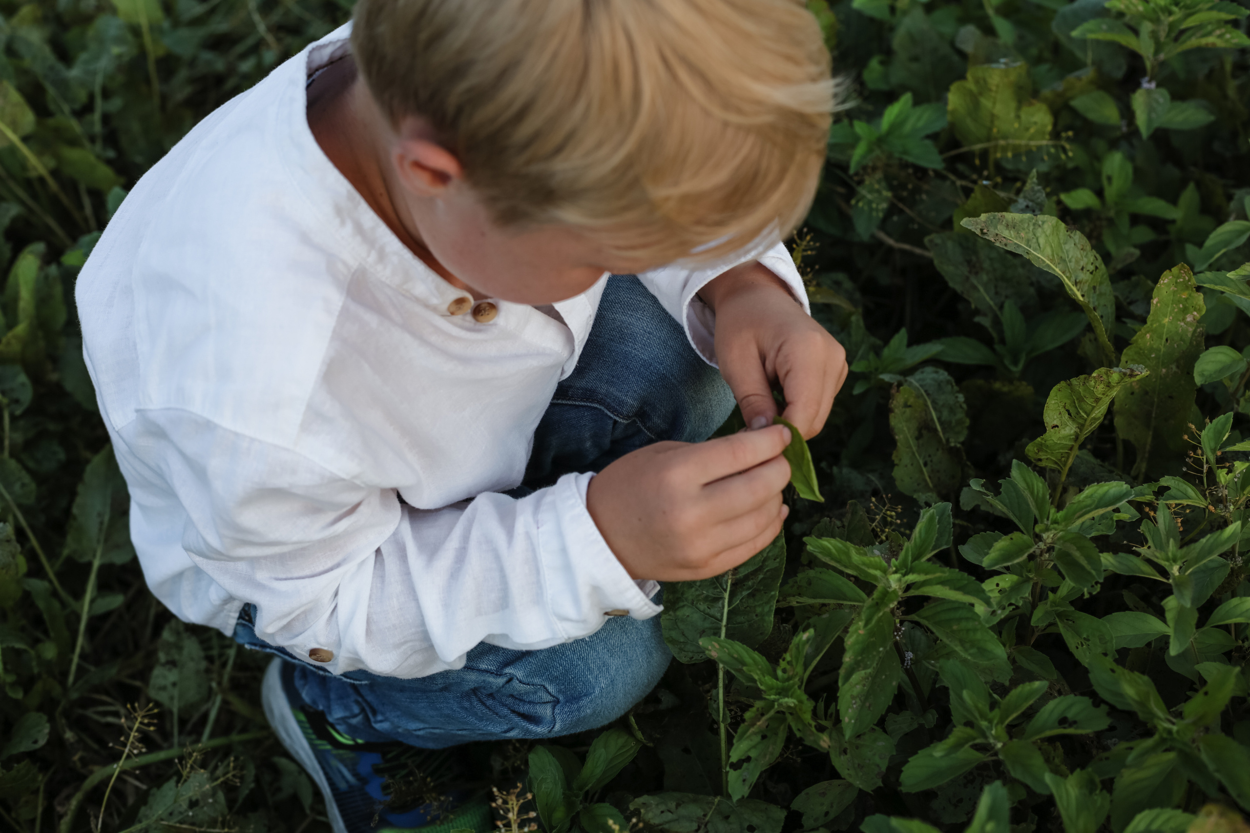 Июльский вечер. Репортажный, семейный фотограф из Нефтеюганска