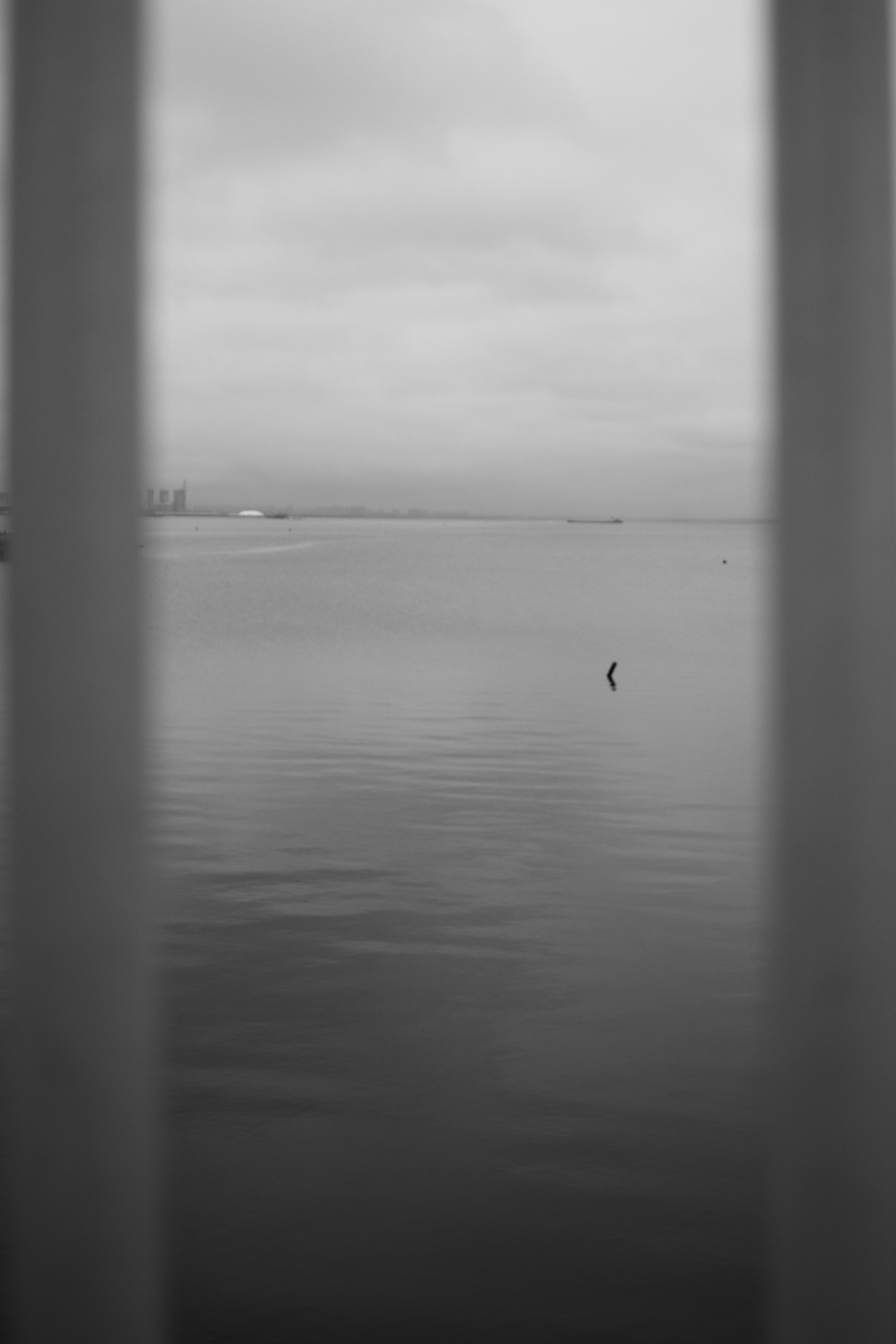 Лахта. Портретный фотограф DanilNabody