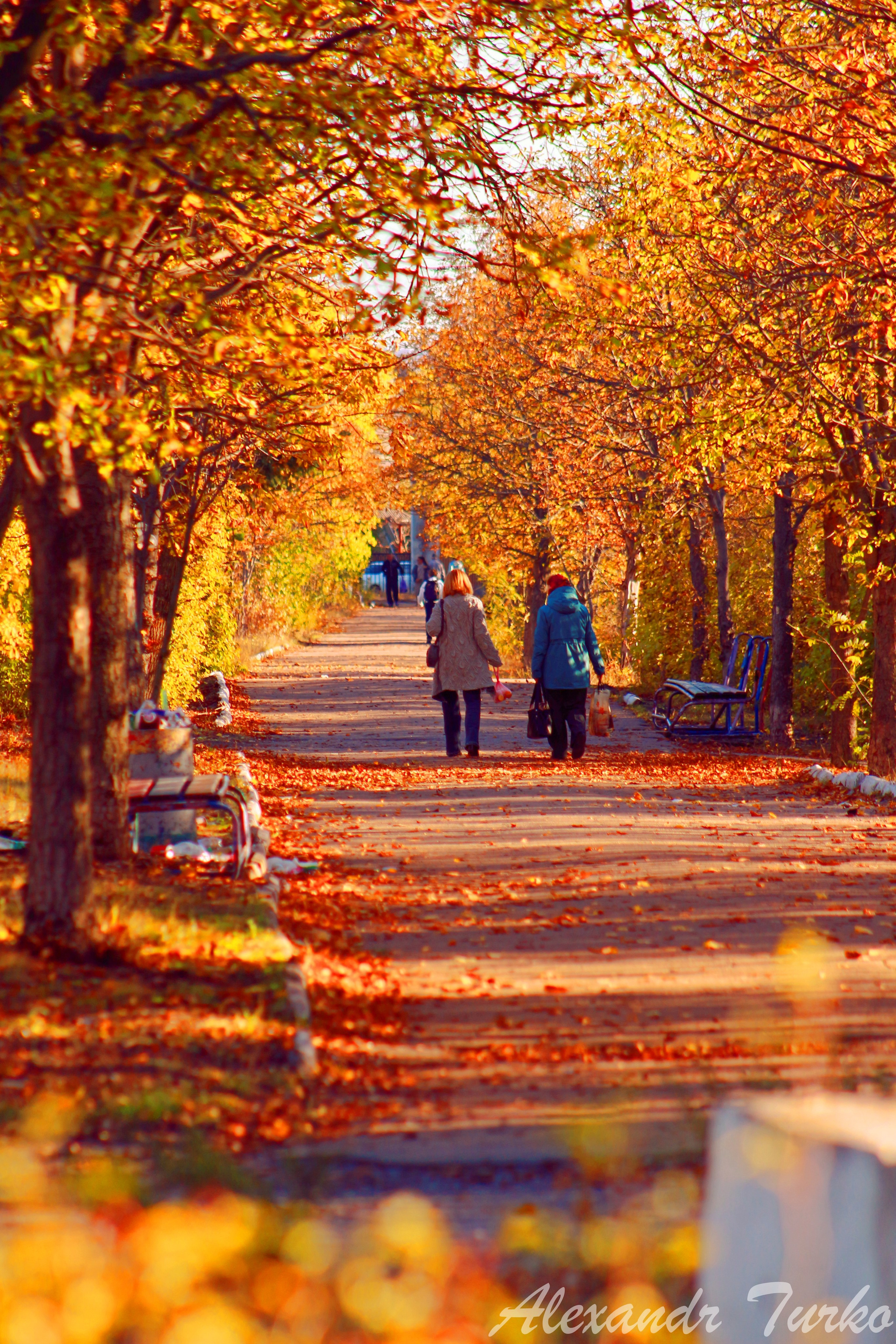 Пейзажи. Фотограф из Донецка Александр Турко