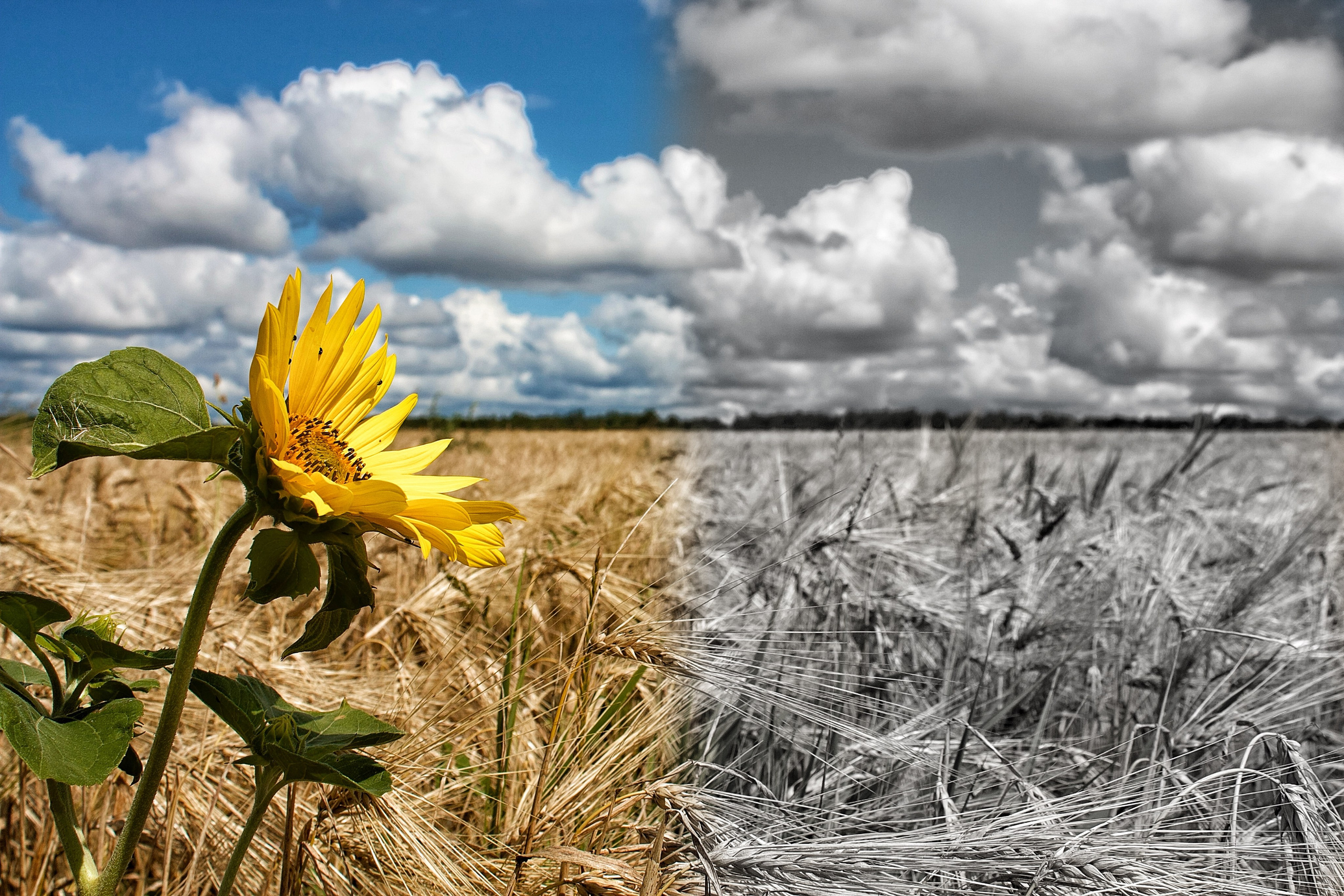 KUPINИ | ФОТО — сайт портфолио по мультижанровой съёмке | фотограф Сергей Мар