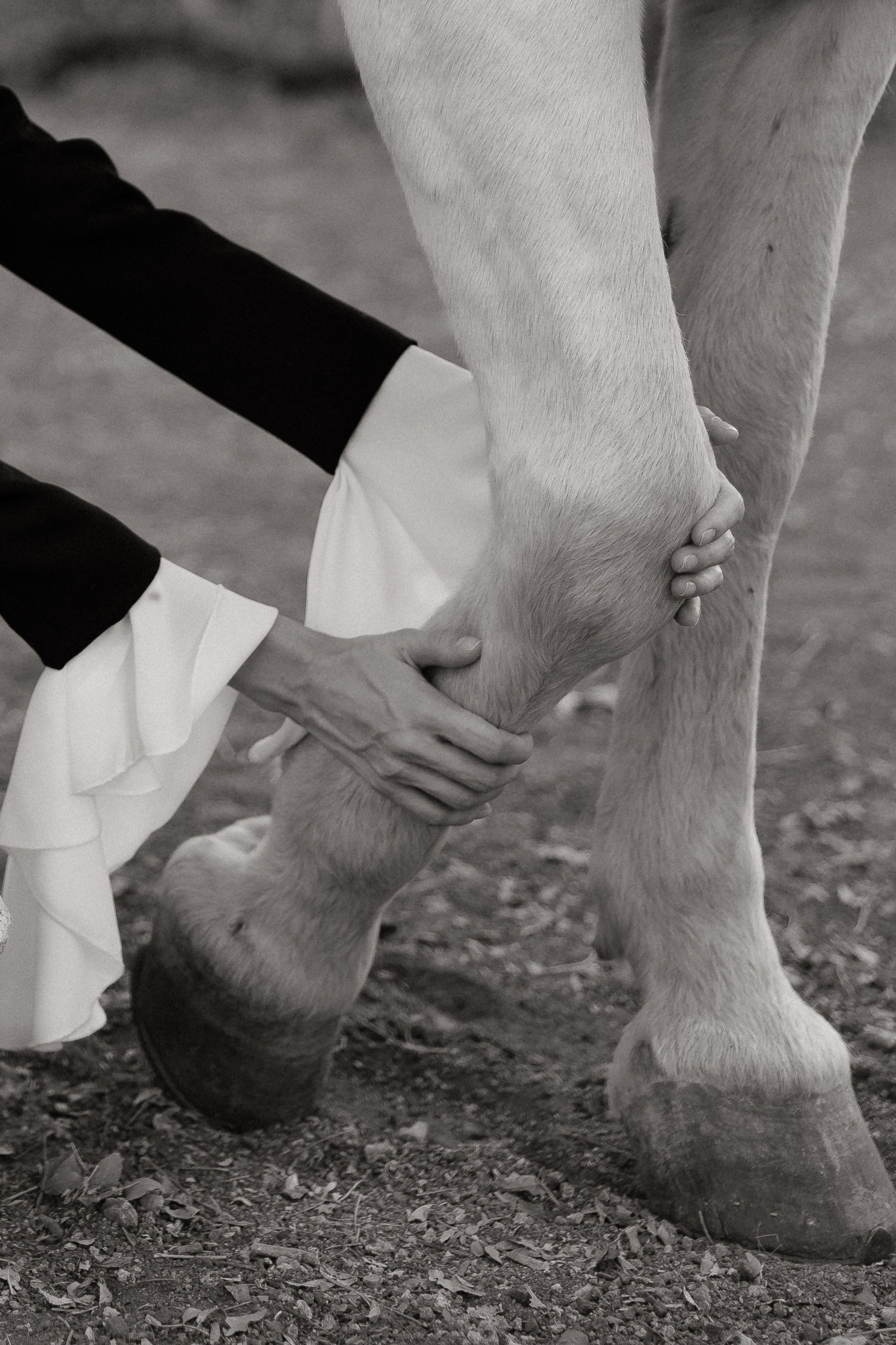 Александр и Кристина. Свадебный | Семейный фотограф