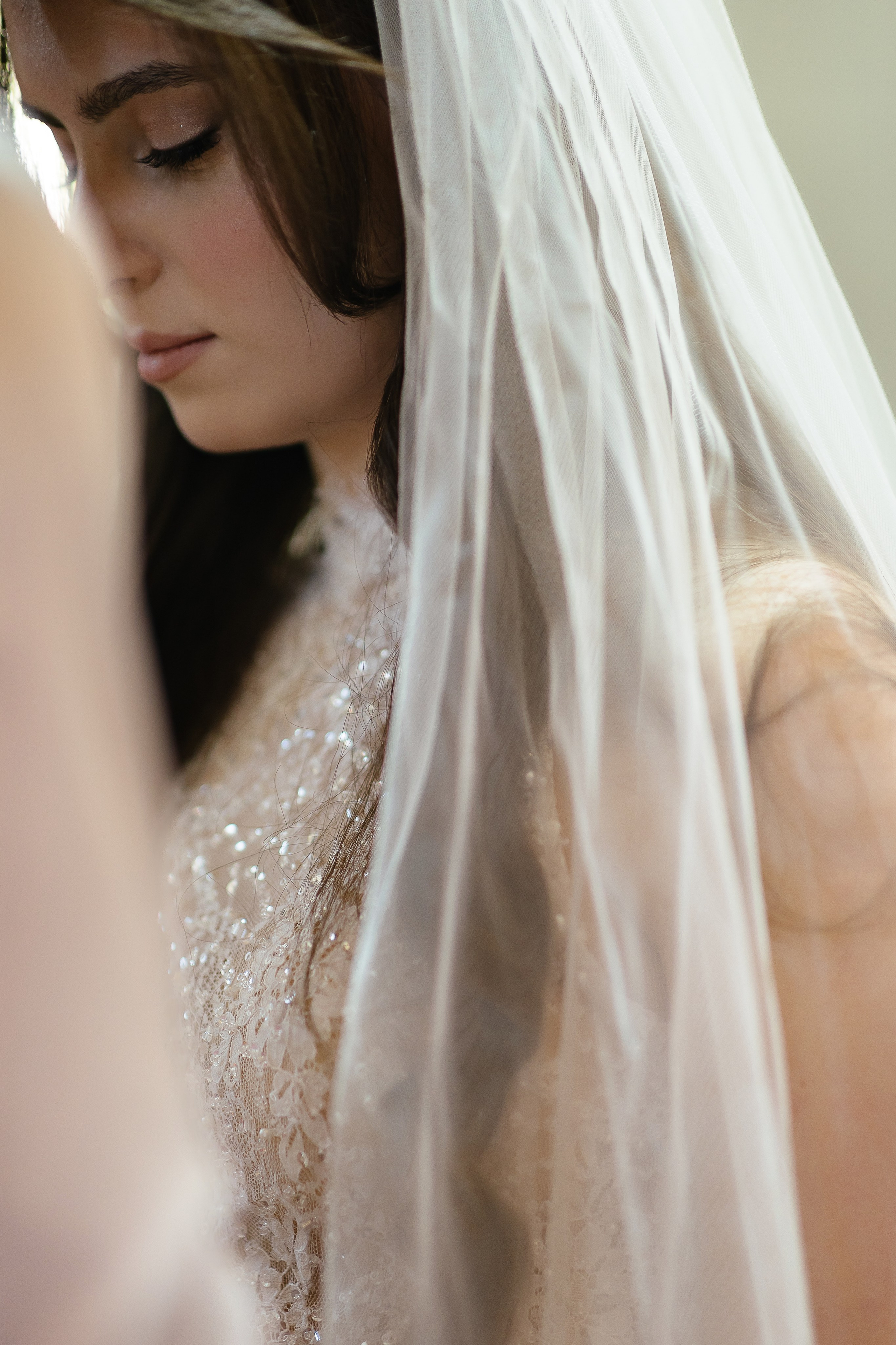 Родион и Ануш. Свадебный | Семейный фотограф