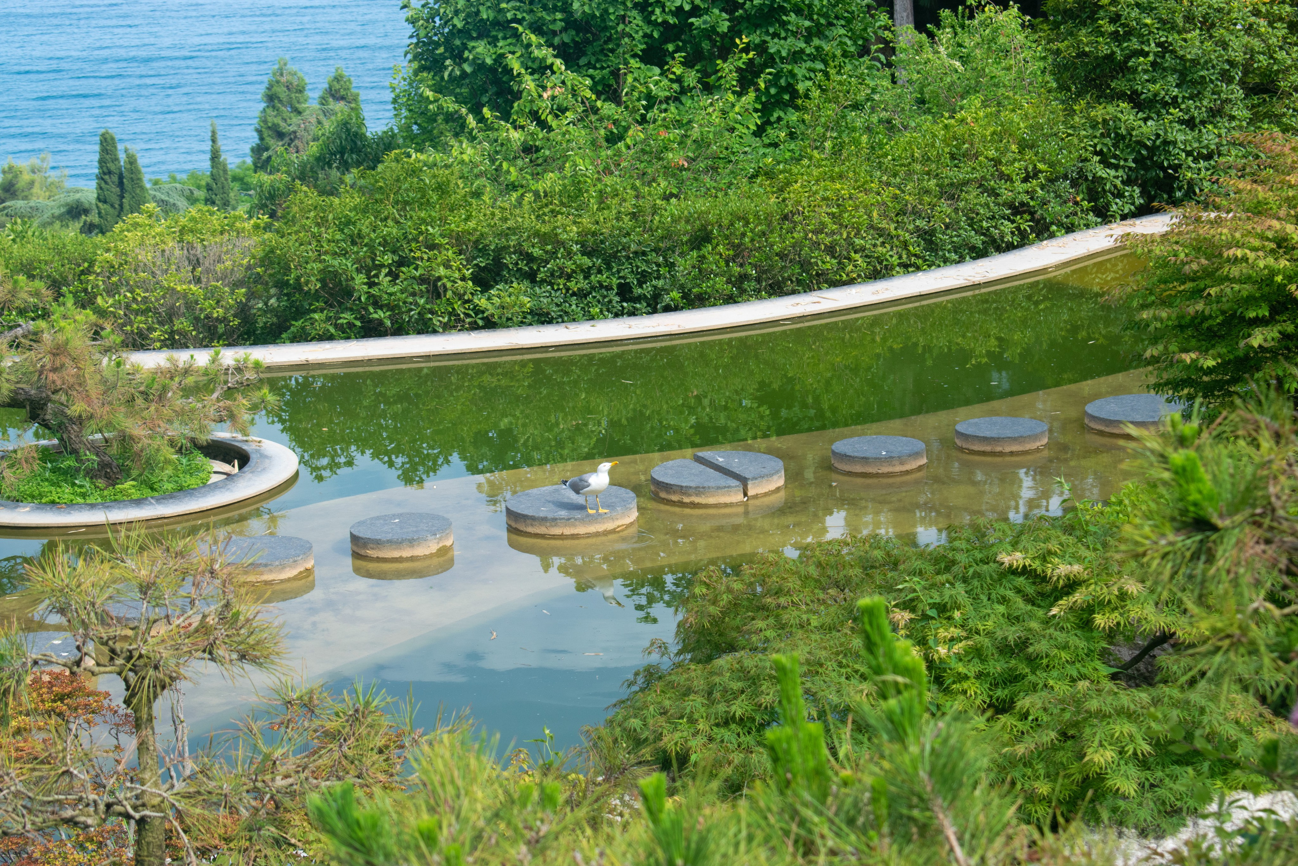 Садово-парковая и ландшафтная фотосъёмка. Фотограф в Карелии, Сортавала, Рускеала Наталья Зверева