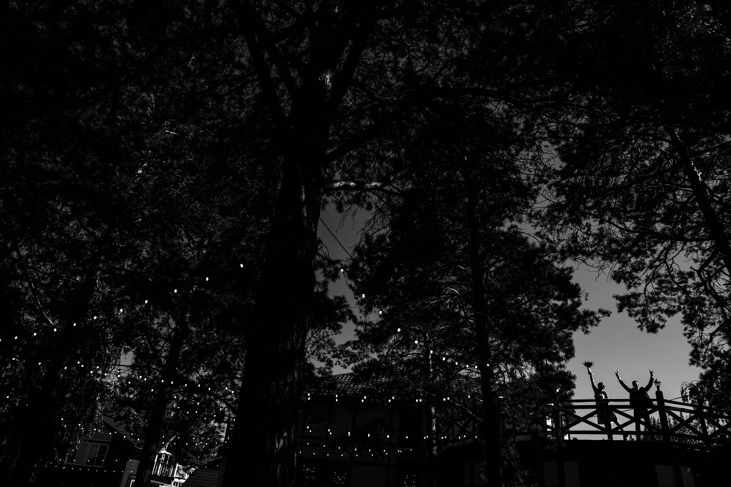 Фотограф на свадьбу Красноярск. Ваша свадьба и другие яркие события в моём объективе. Классические кадры и репортаж, трогательные моменты и буря эмоций! Большой опыт работы, адекватные сроки, приятные бонусы)