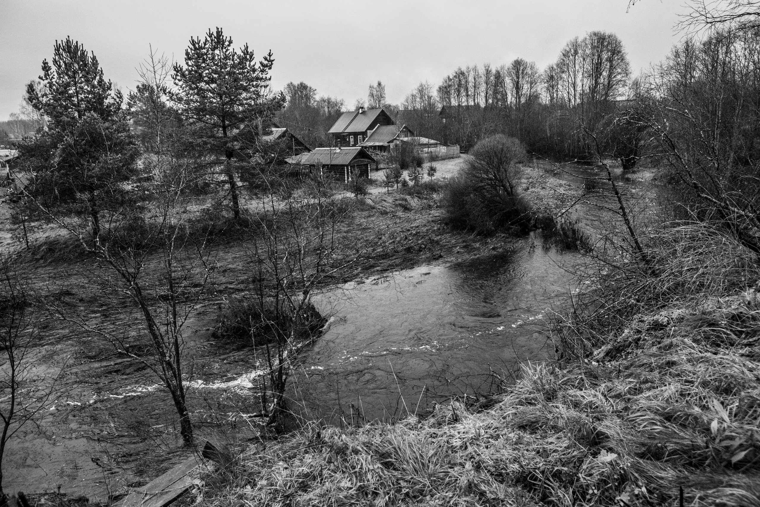Хранитель лесов. Портретная фотосъёмка, репортажная, контент для вашего бизнеса