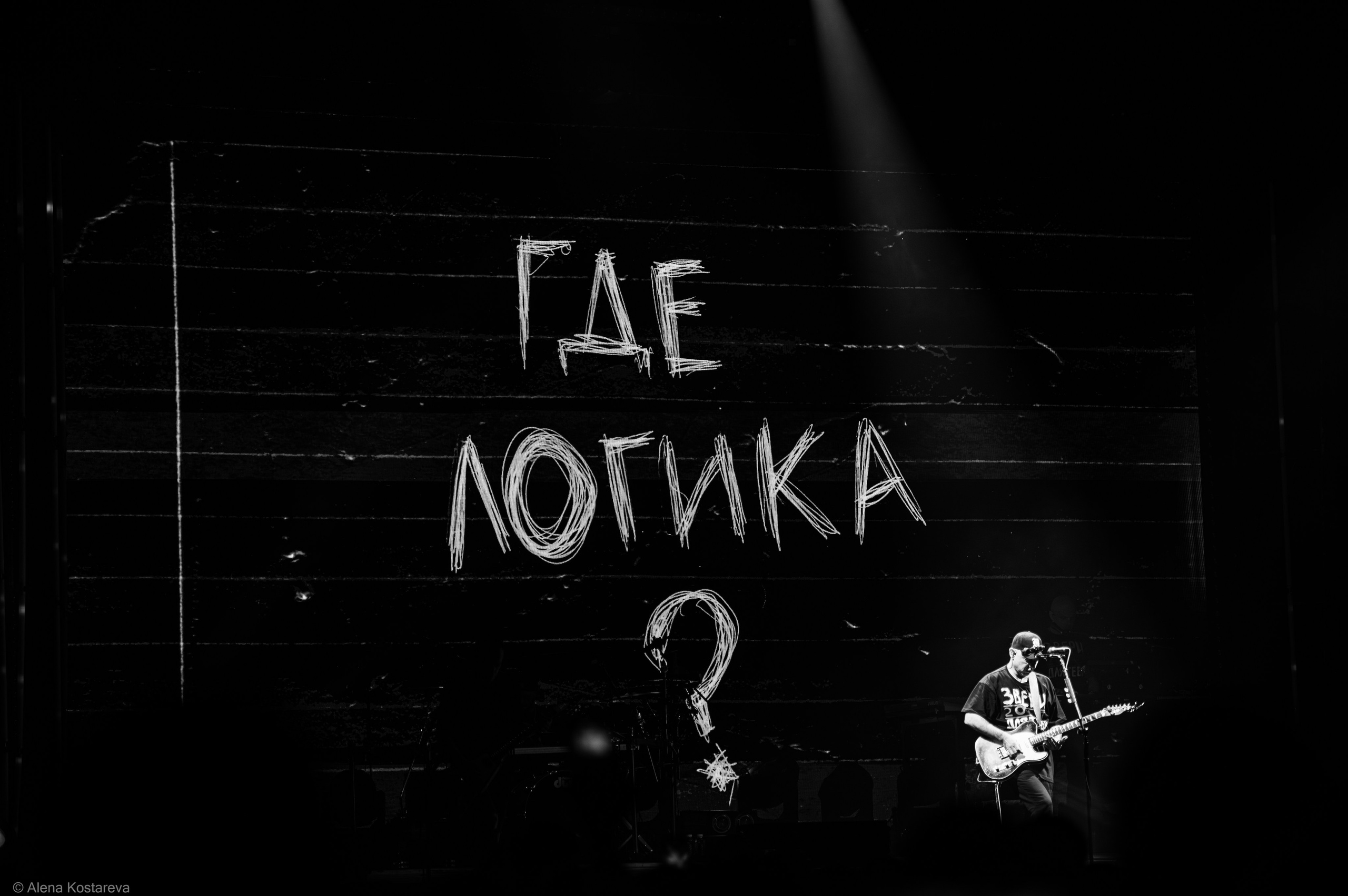 Звери. Алена Костарева. Фотограф в Ростове-на-Дону