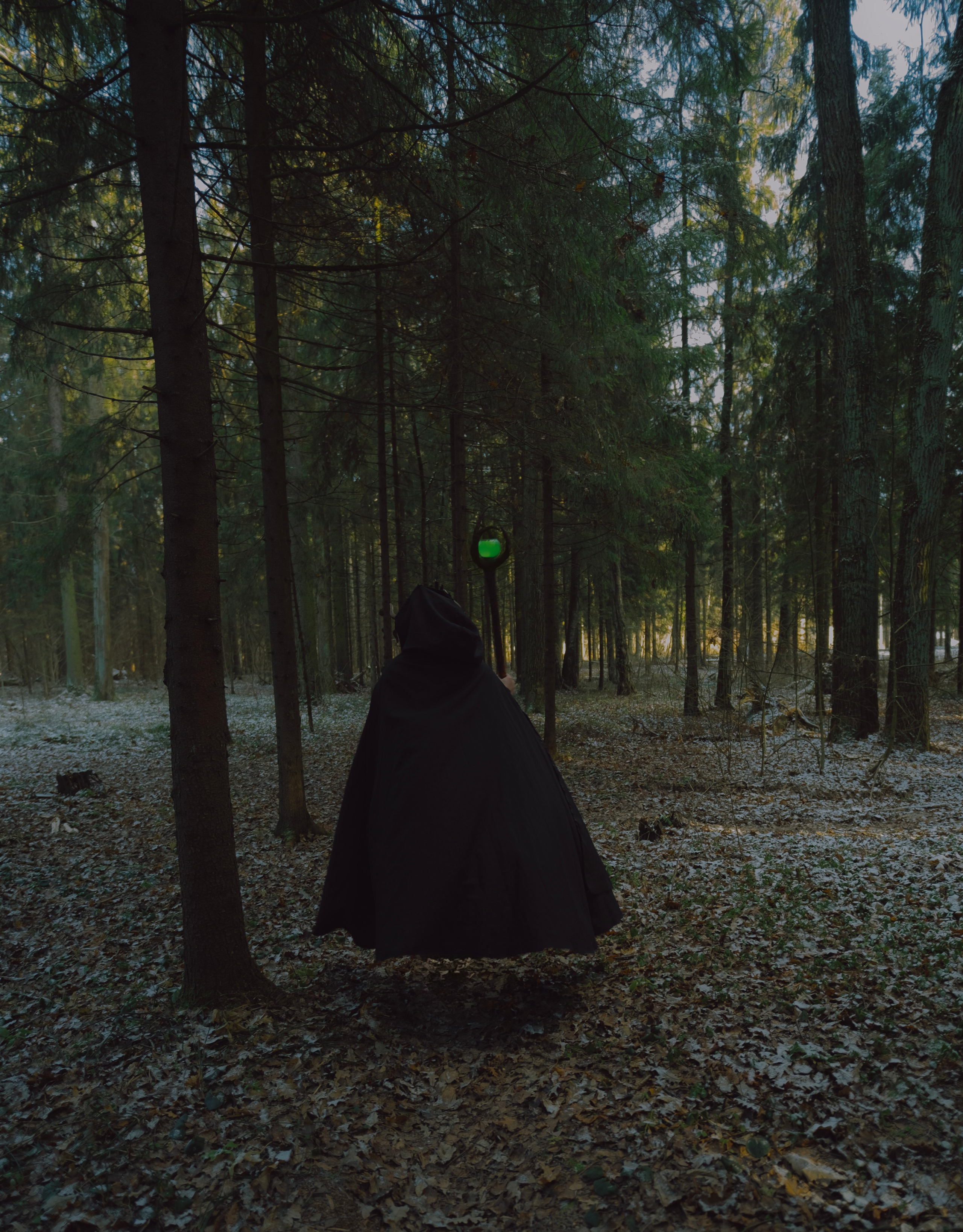 «Дух леса». Фотограф (Москва, Мытищи)— Комова Анастасия