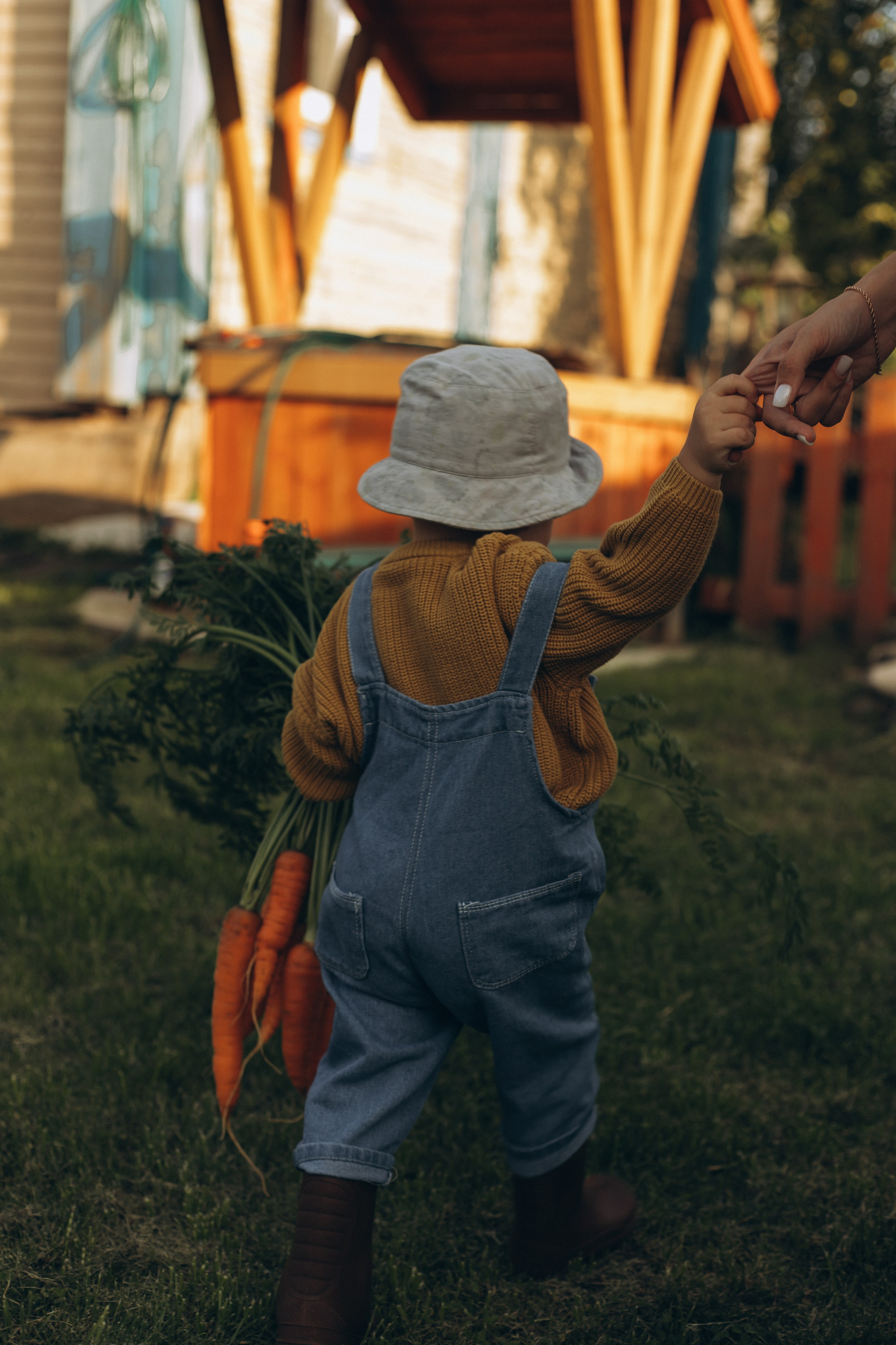 Морковная история 🥕🧡. Услуги