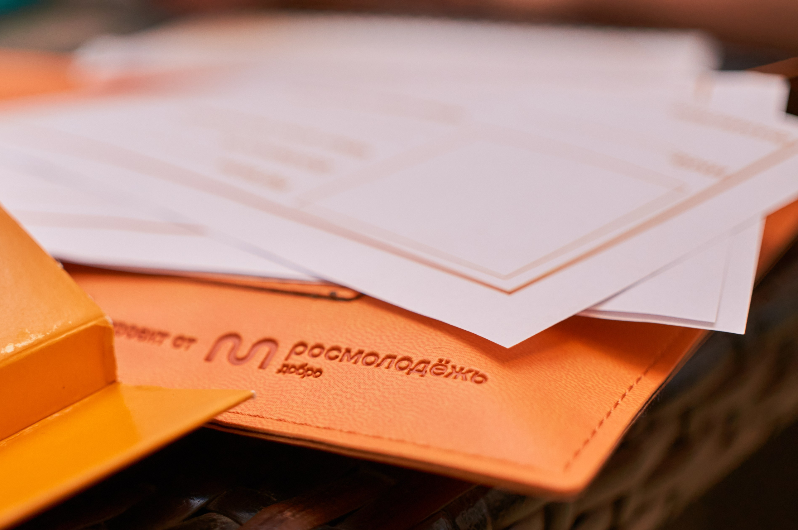 Окружной форум добровольцев СФО и ДФО. Фотограф | Кнышева Валерия | Санкт-Петербург