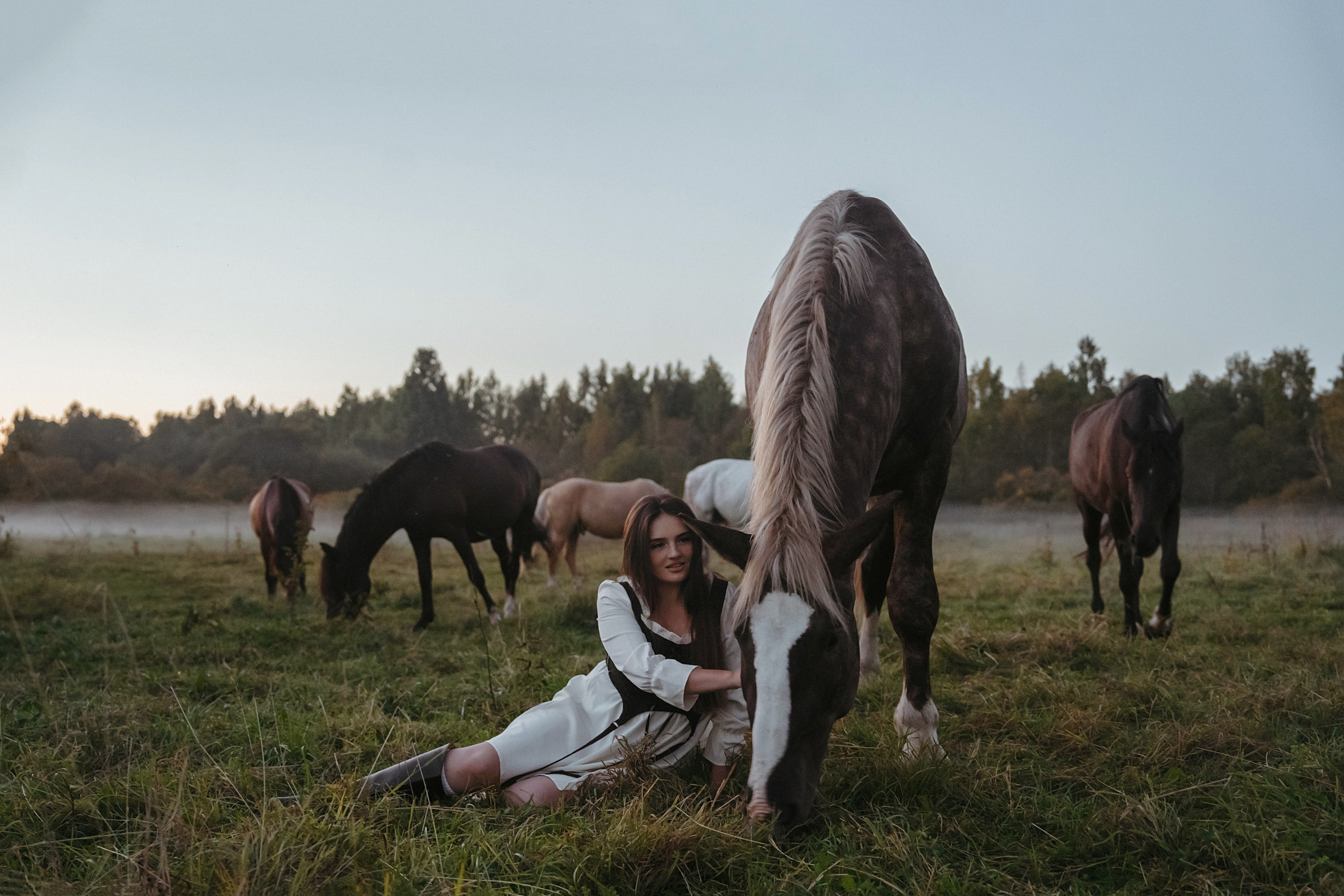 Конные. Главная