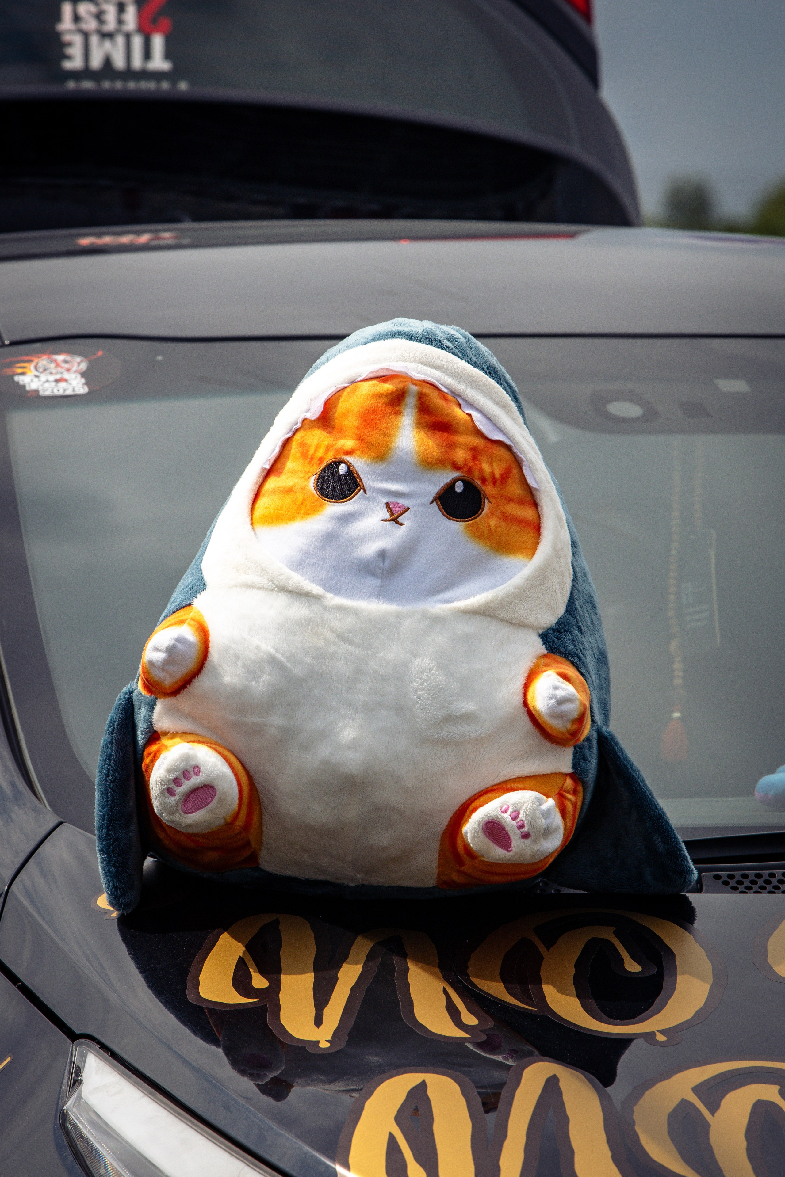 2 этап RDRC. Rusty Photographer