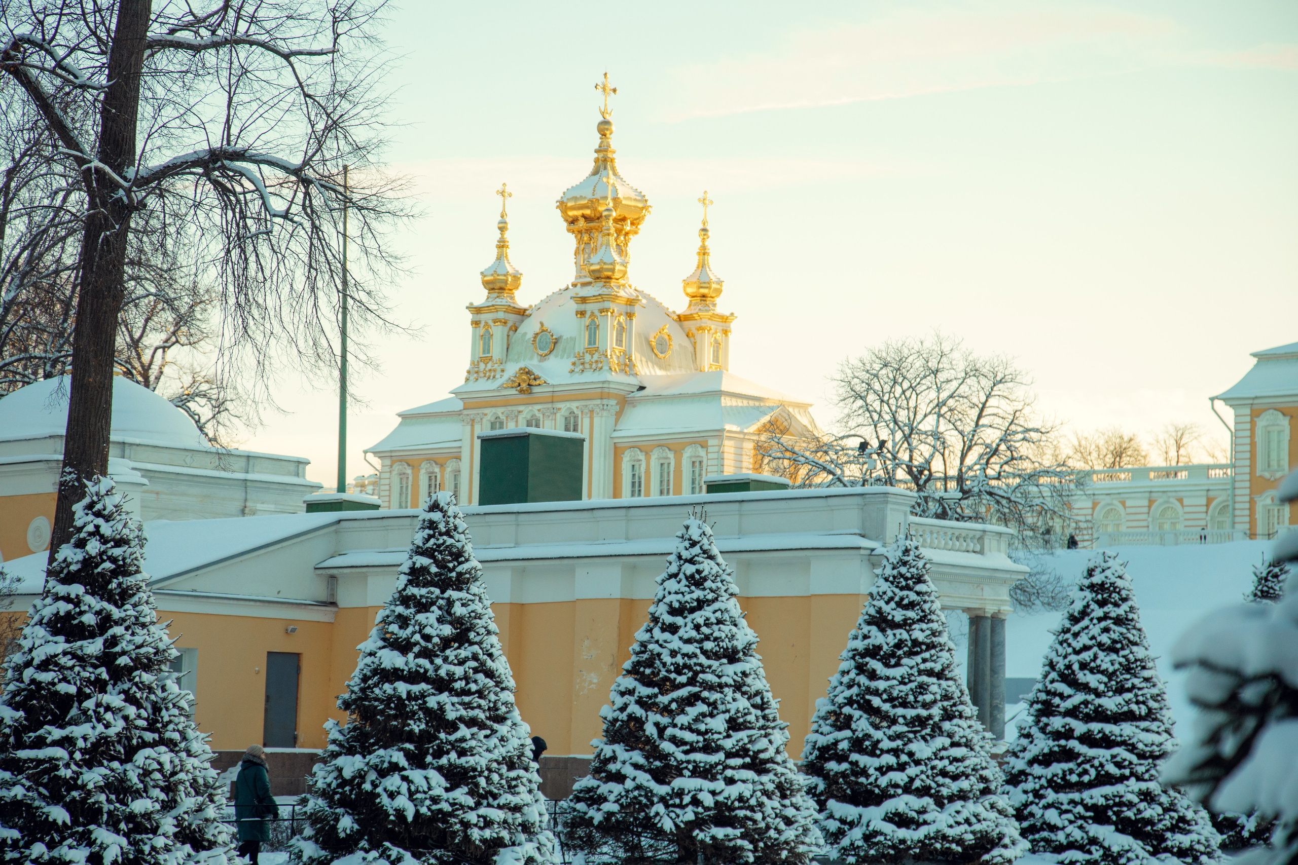 Петергоф нижний парк фото