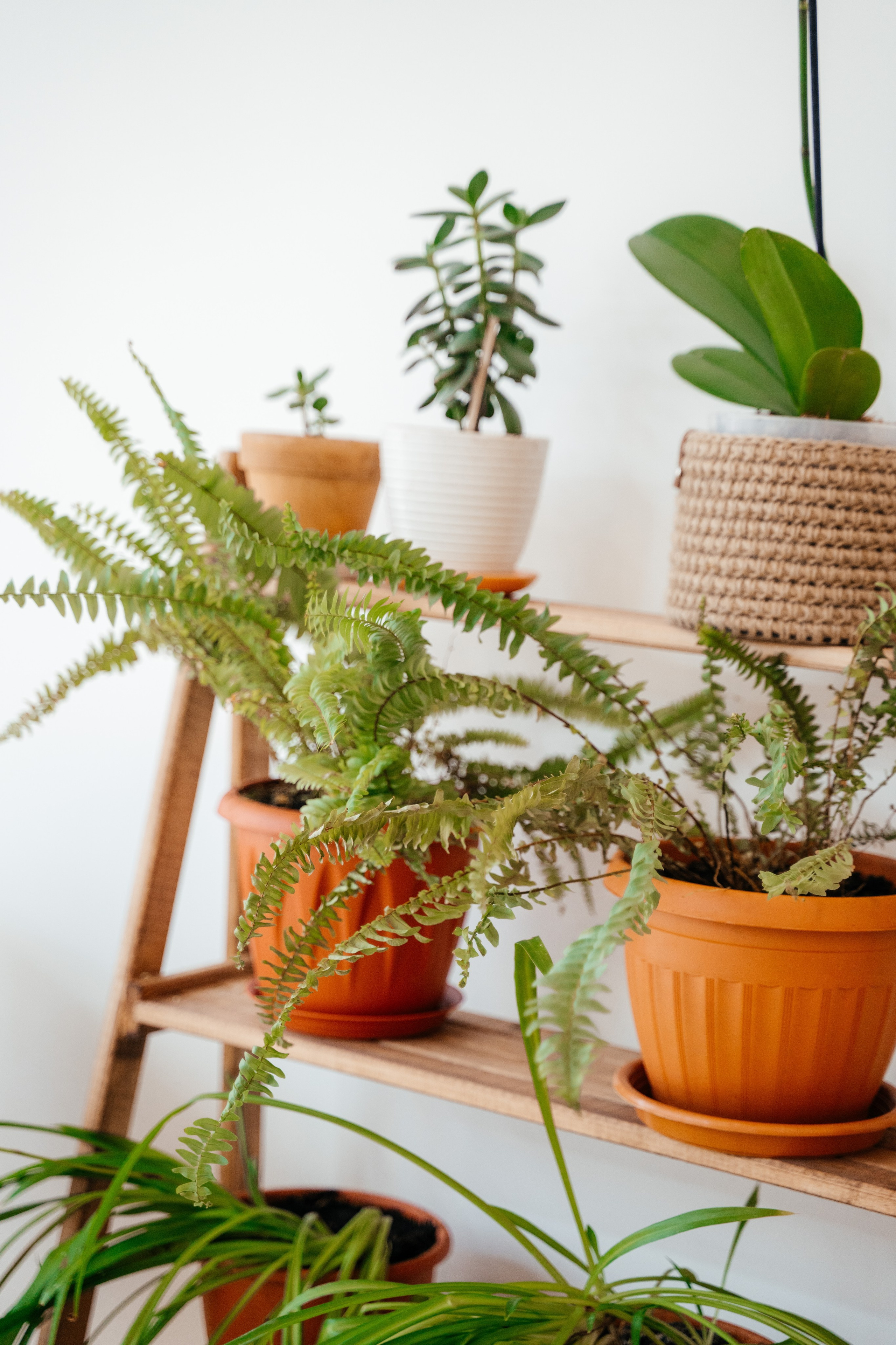 Открытие салона BrowHouse. Семейный фотограф в Саратове