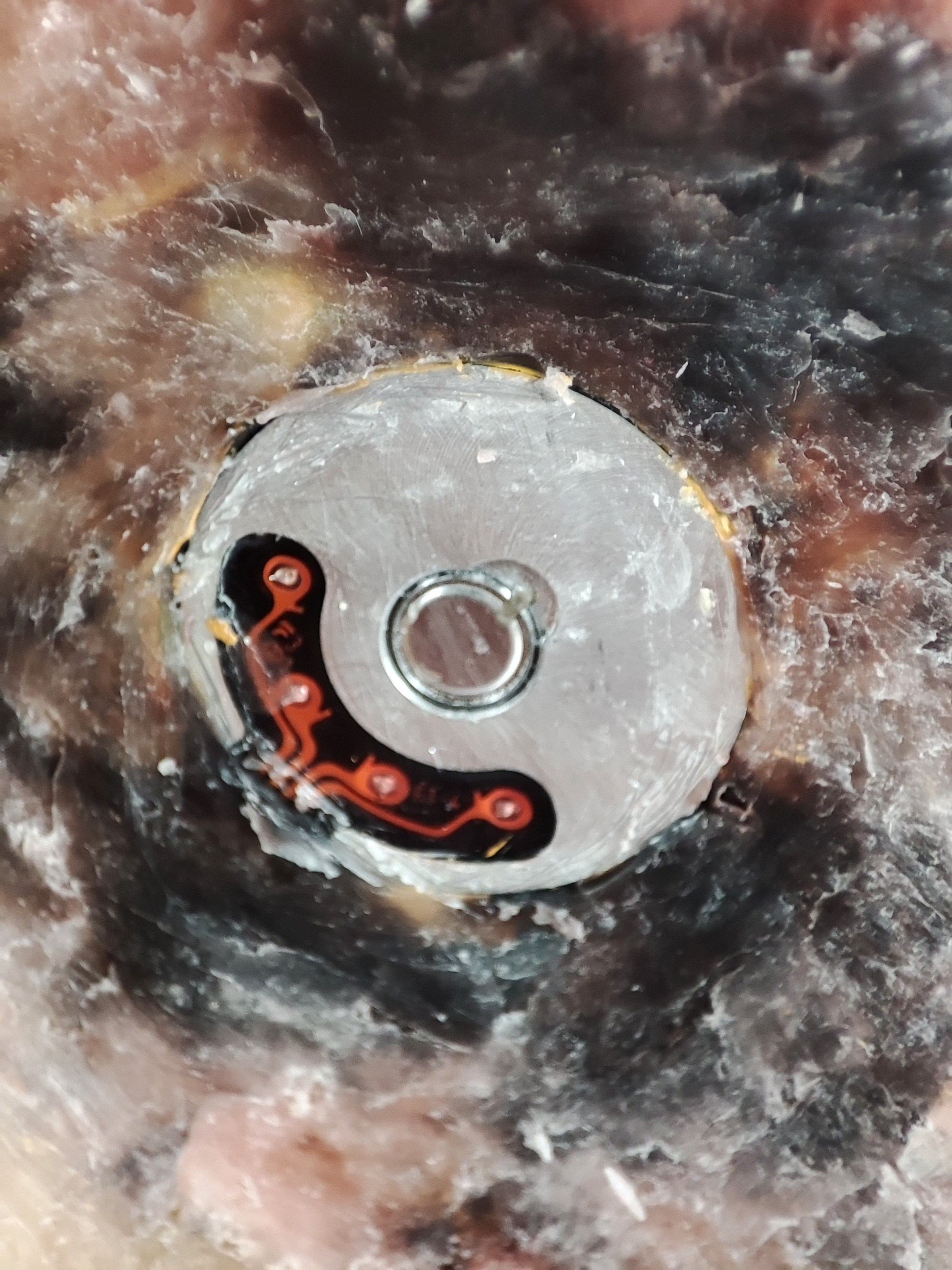 Нейропат. Фрагмент. 2022.  Скульптура. Воск, компьютерные комплектующие.