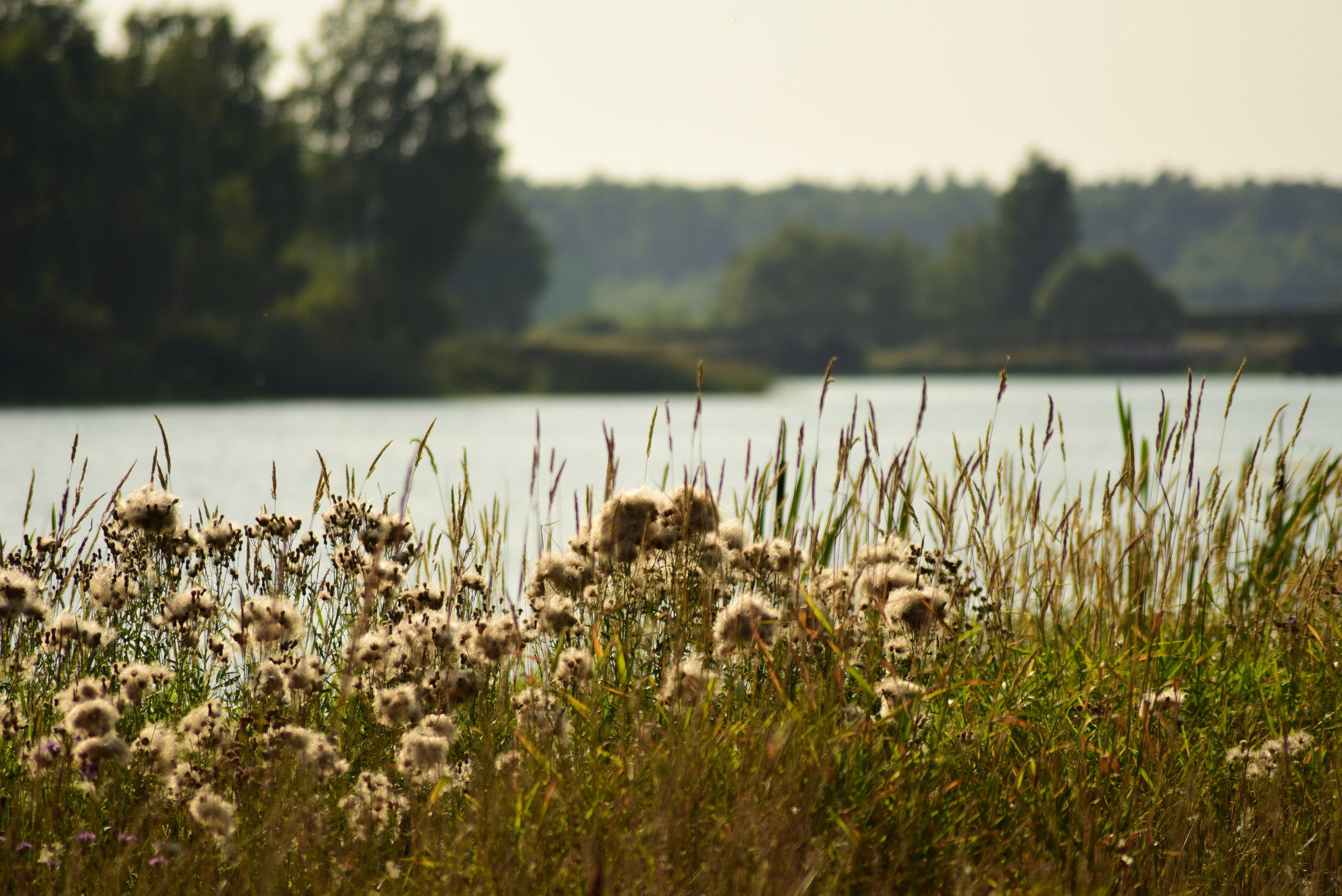 Гонка героев 2022 в Алабино. Профессиональный фотограф в Москве Юлия Москалёва