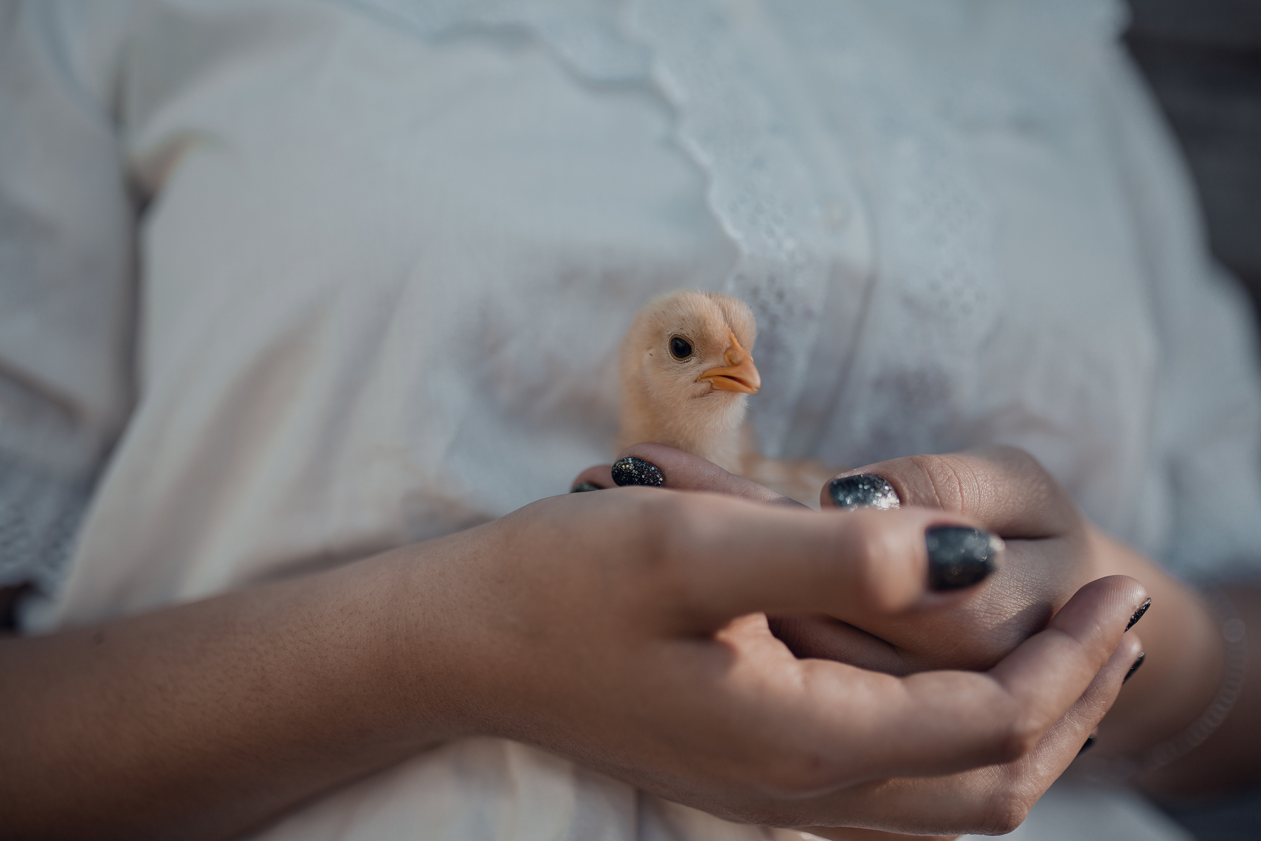 Диана. Фотограф в Санкт-Петербурге и Уфе Алина Шаймухаметова