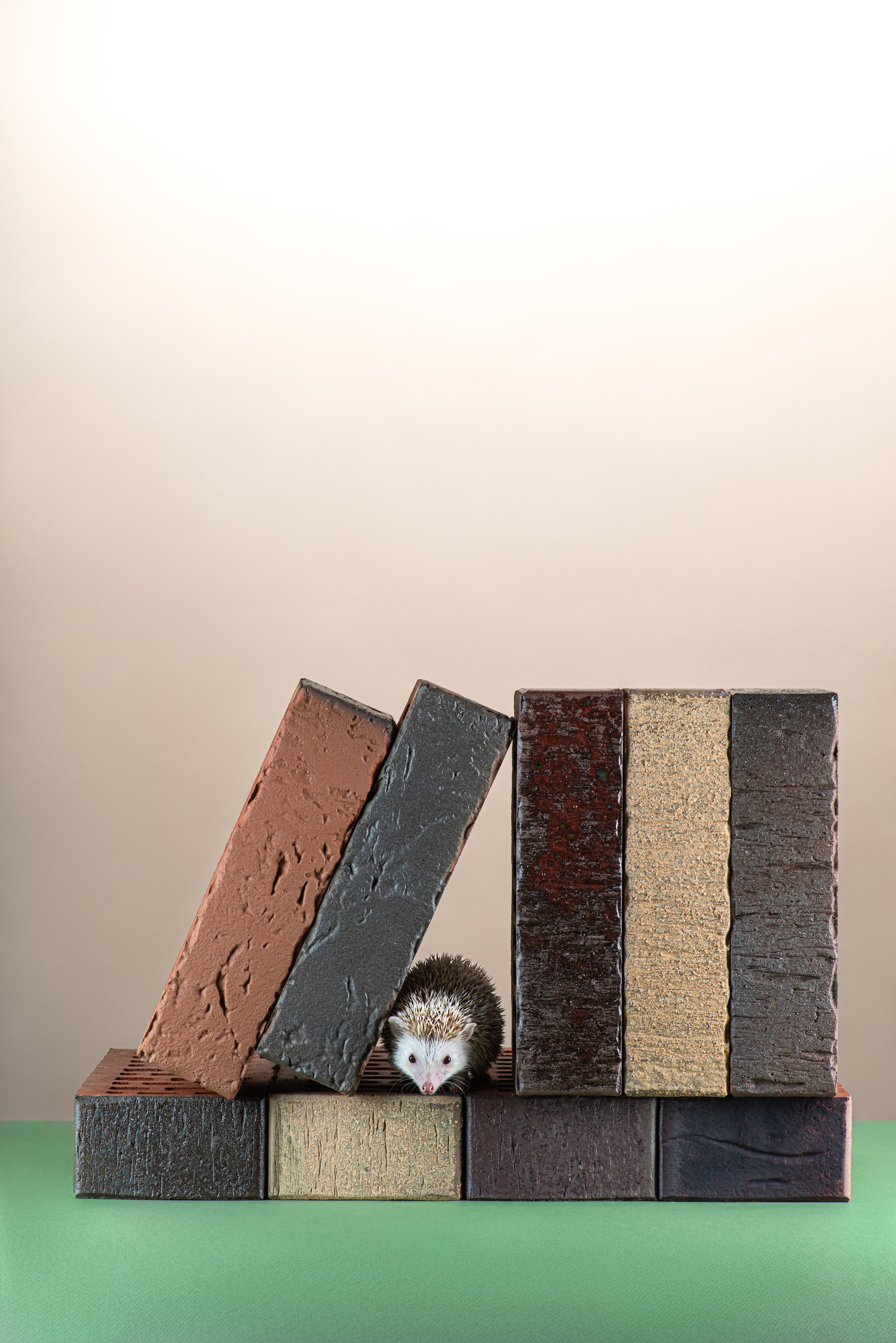 Славянский кирпич