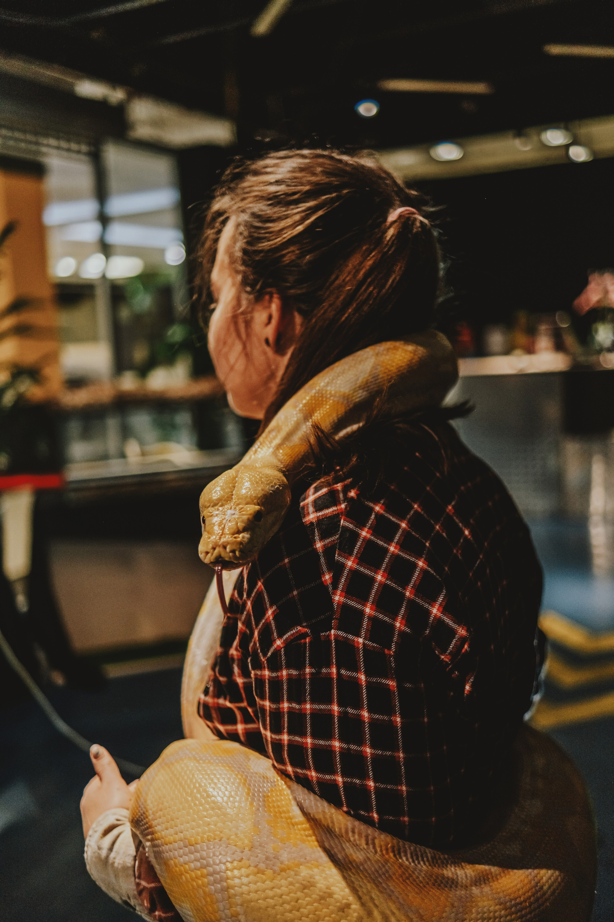 Дом Драконов. Nattie.ph