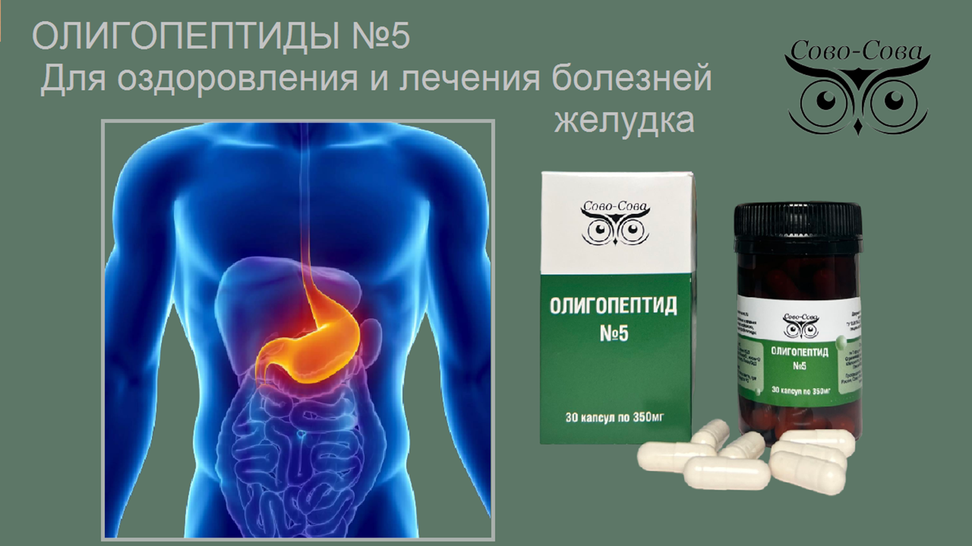 Олигопептиды № 5 — Для оздоровления и лечения болезней желудка