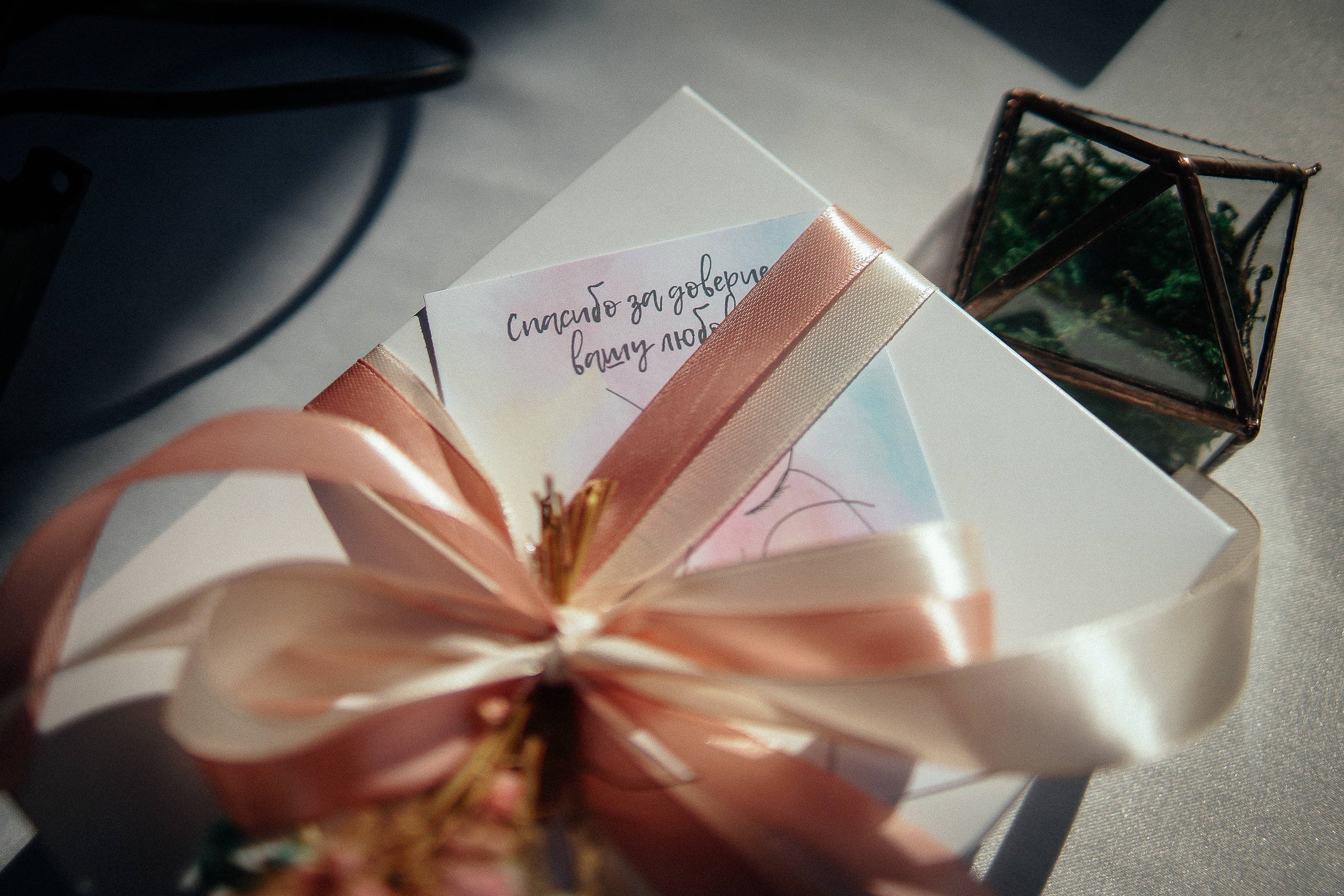 Свадьба в Бердске. Свадебный фотограф Бердск. Съемка прогулки, выездной регистрации и банкета в Crona Spa Hotel.